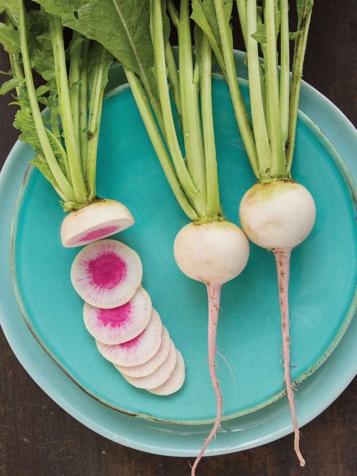 Rido Red Hybrid Radishes