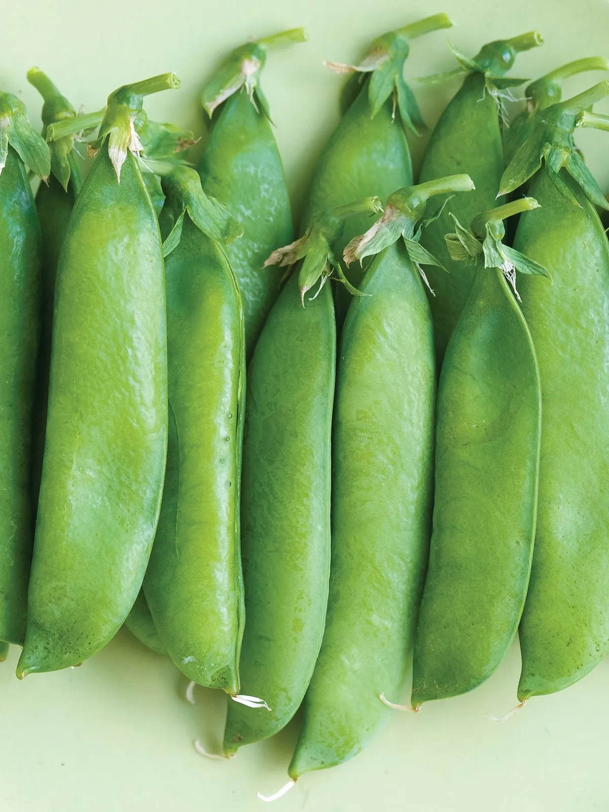 Sugar Daddy Organic Peas