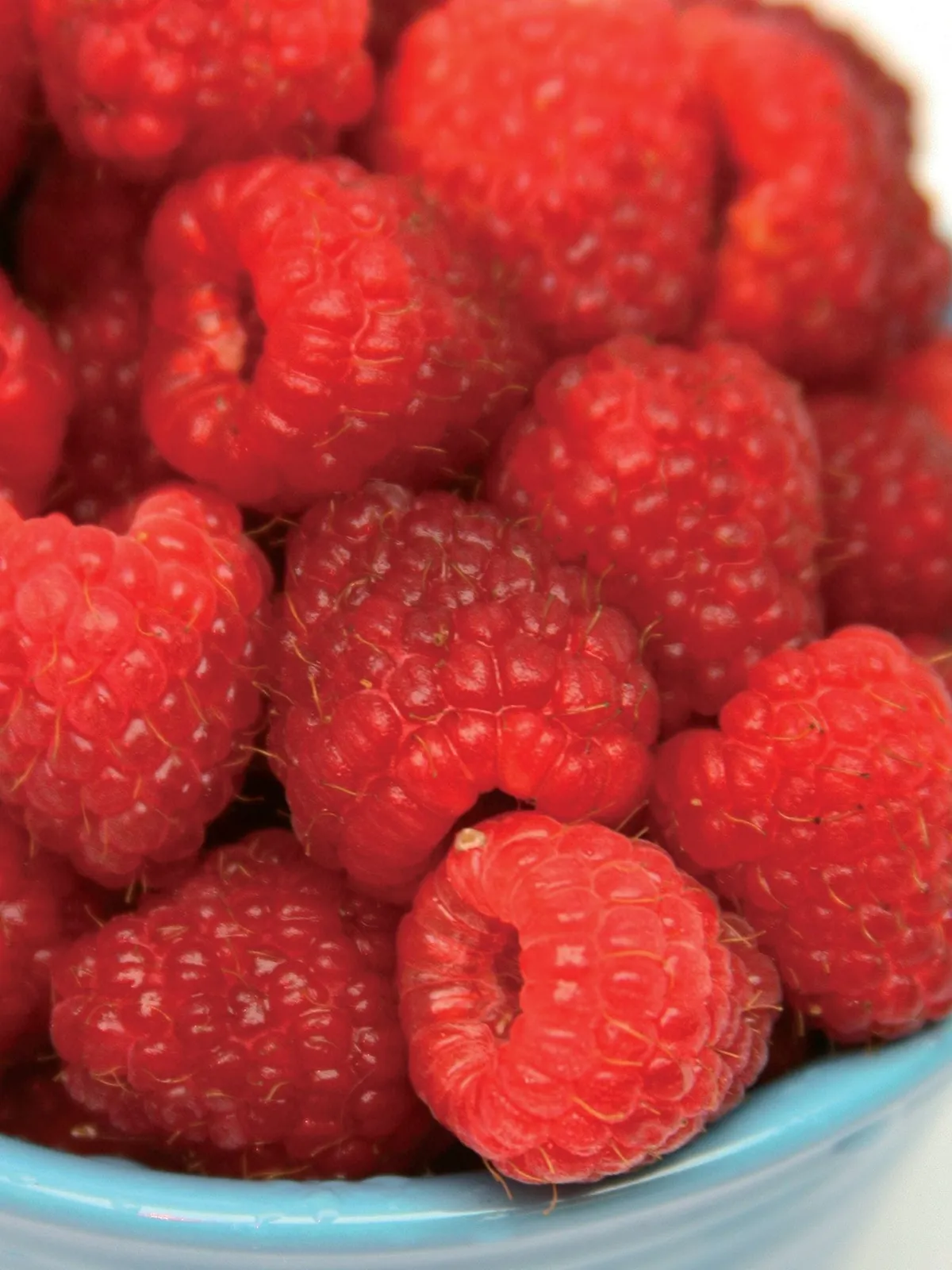 Polana PPAF Raspberries