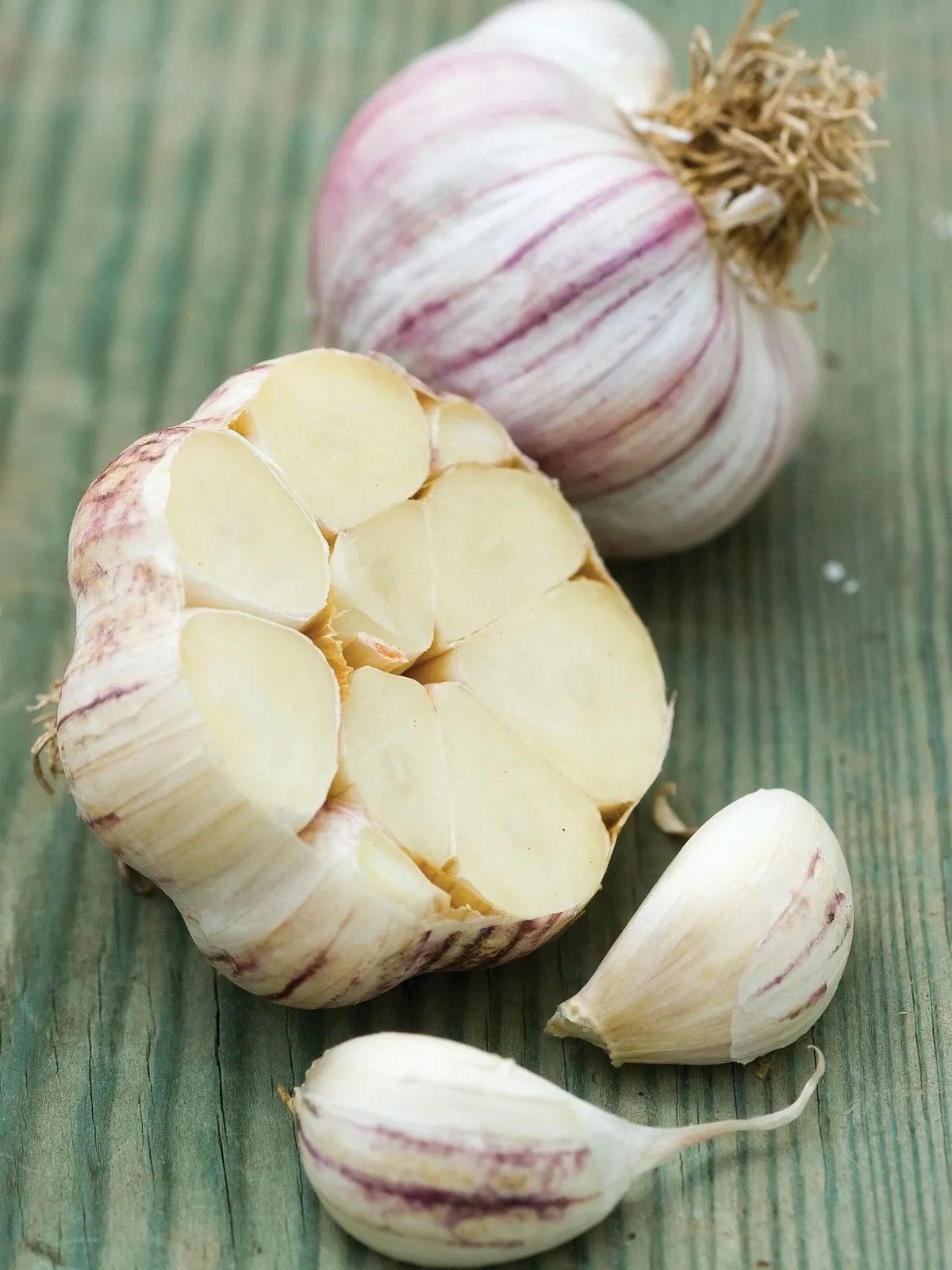 Sonoran Garlic