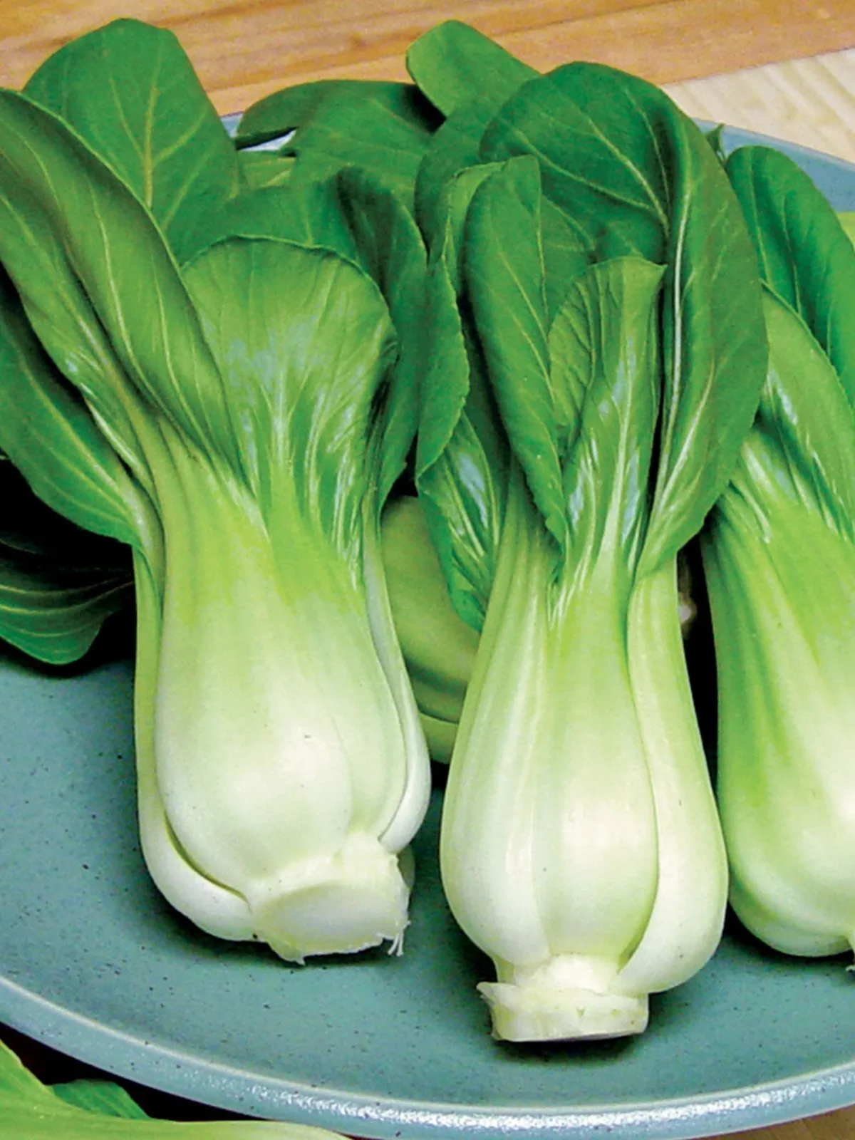 Pak Choi, Toy Choi Hybrid