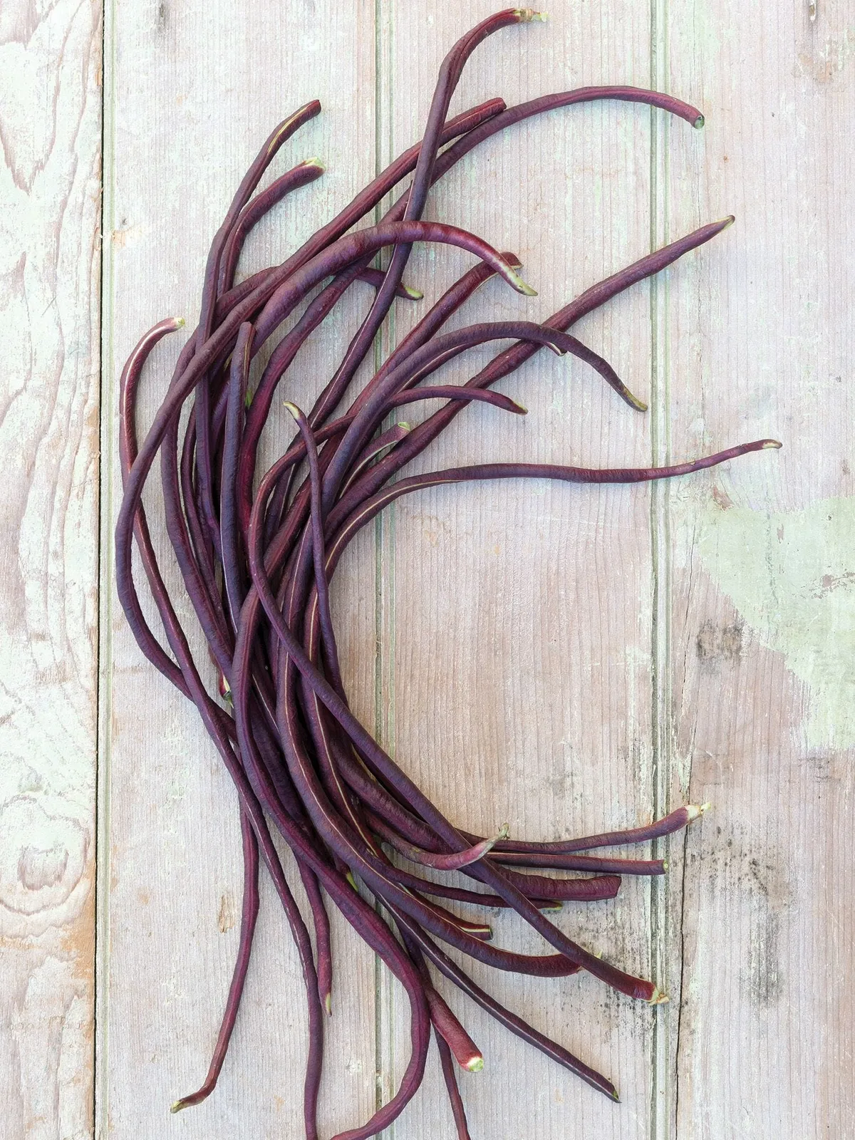 Asparagus Red Podded