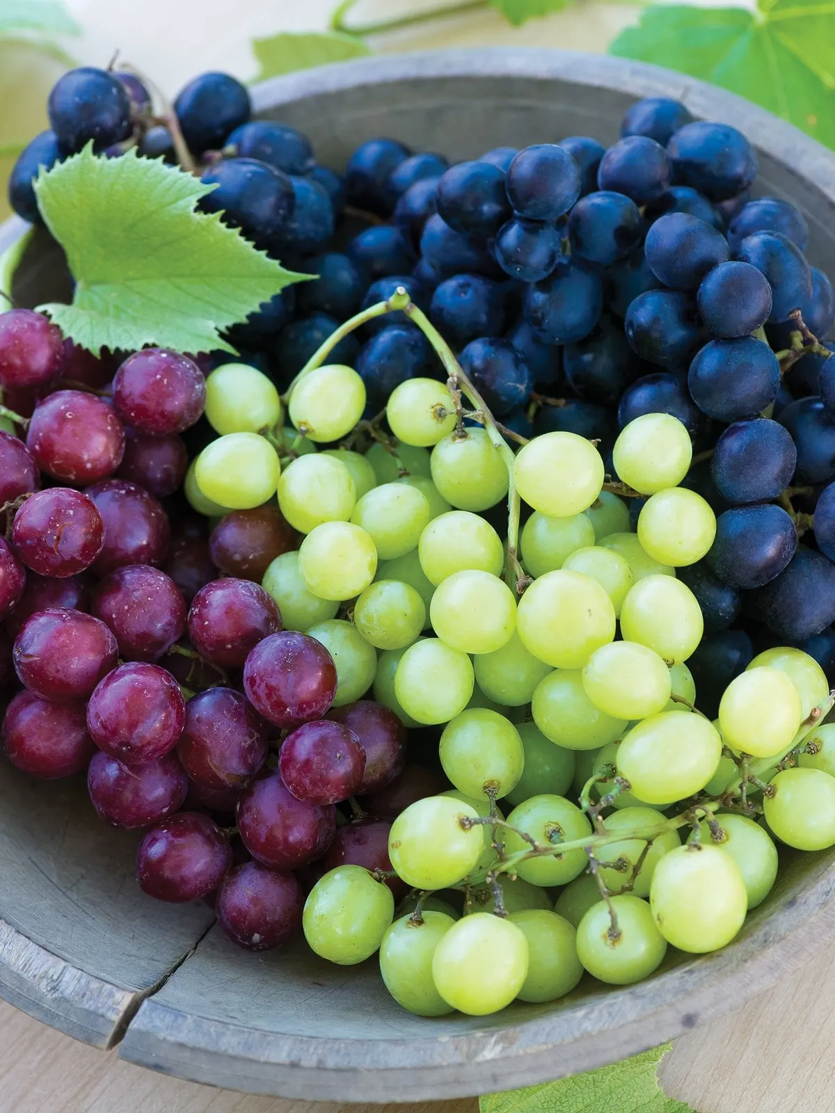 Seedless Collection Grapes