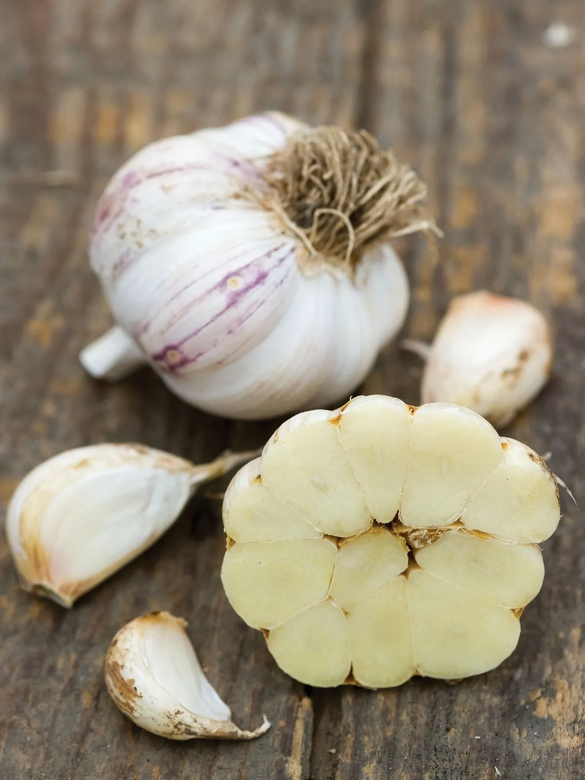Maiskij Garlic