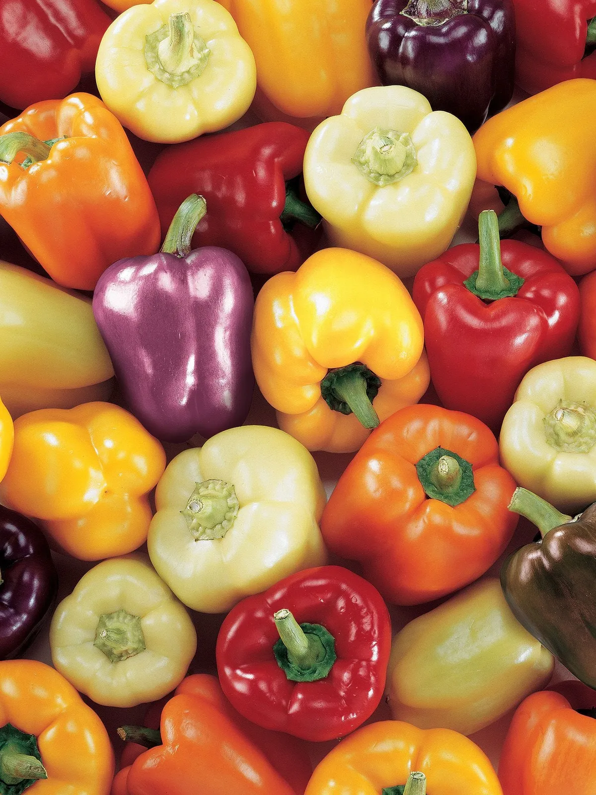 Sweet, Carnival Blend Peppers