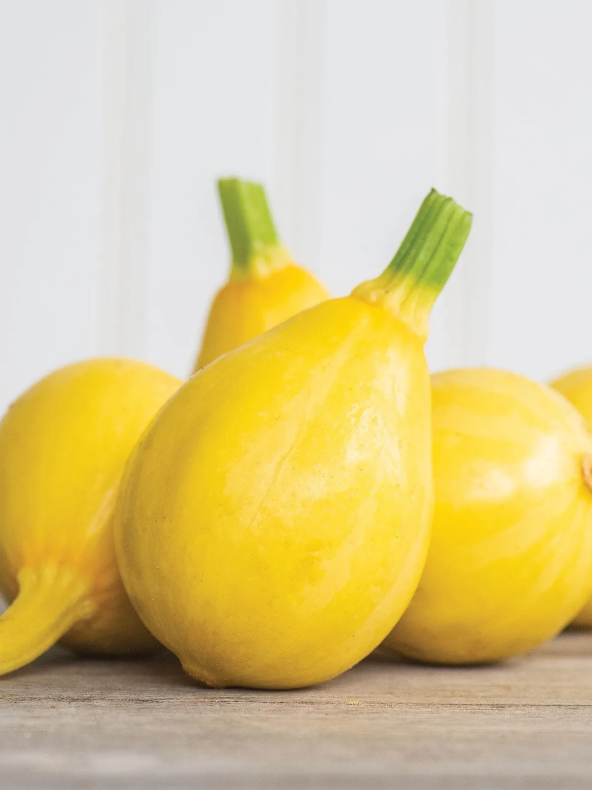 Summer, Lemon Drop Hybrid Squash