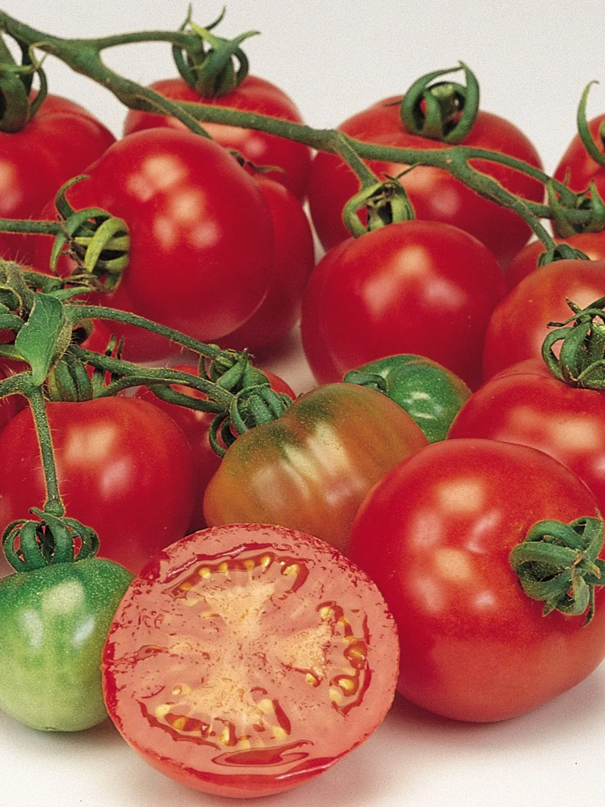 Bloody Butcher Tomatoes