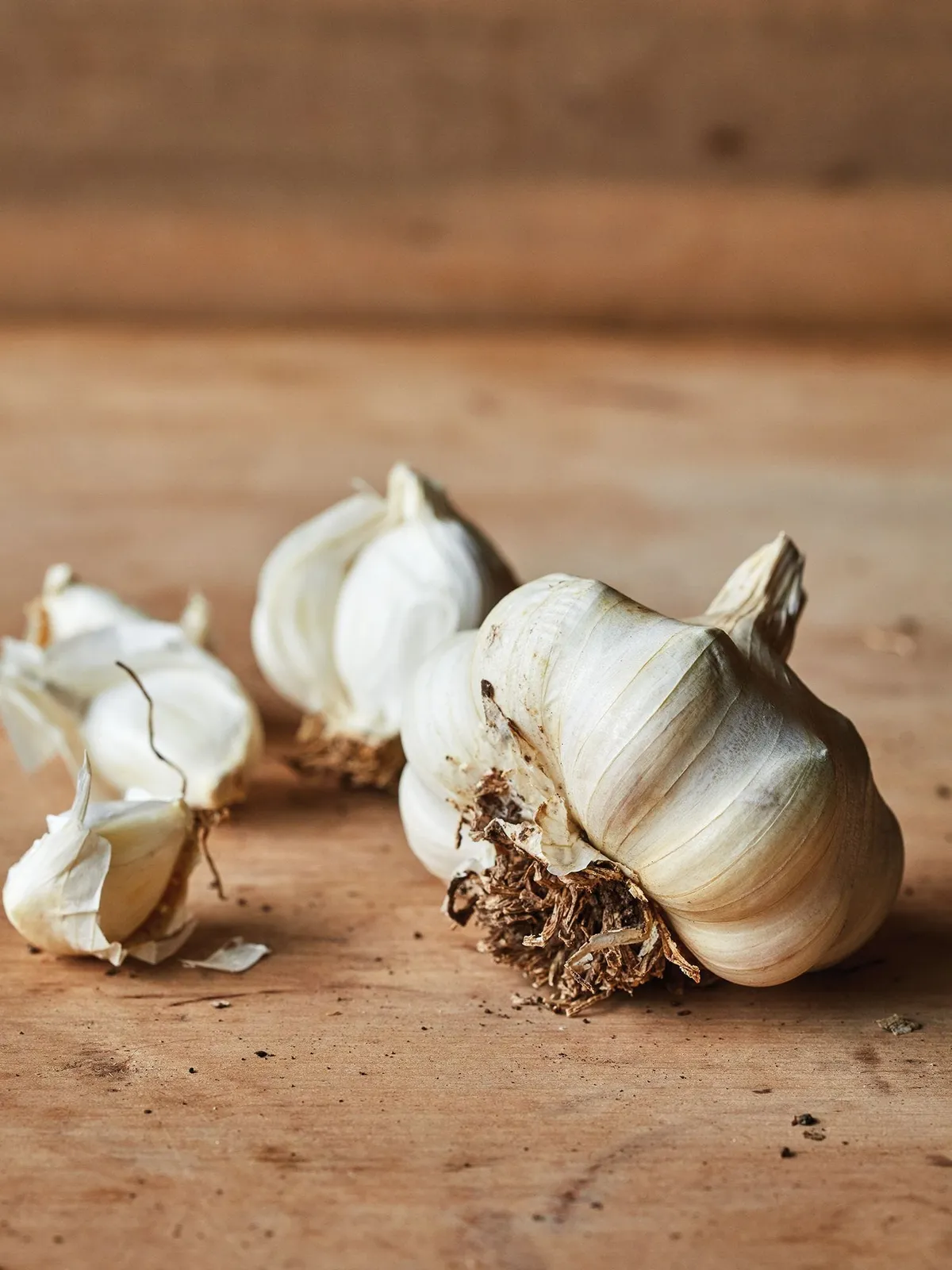 Lorz Italian Garlic