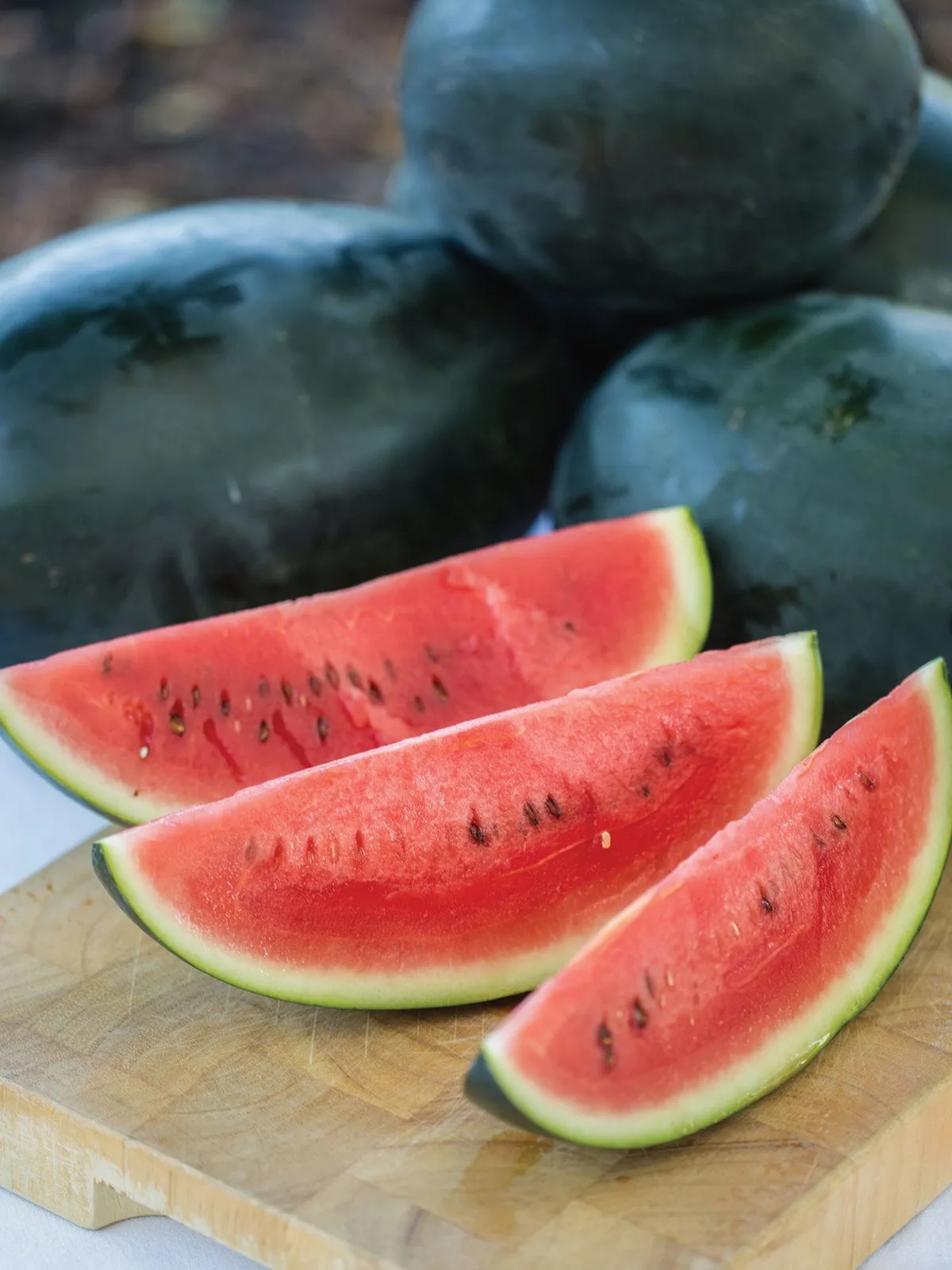 Little Darling Hybrid Watermelon