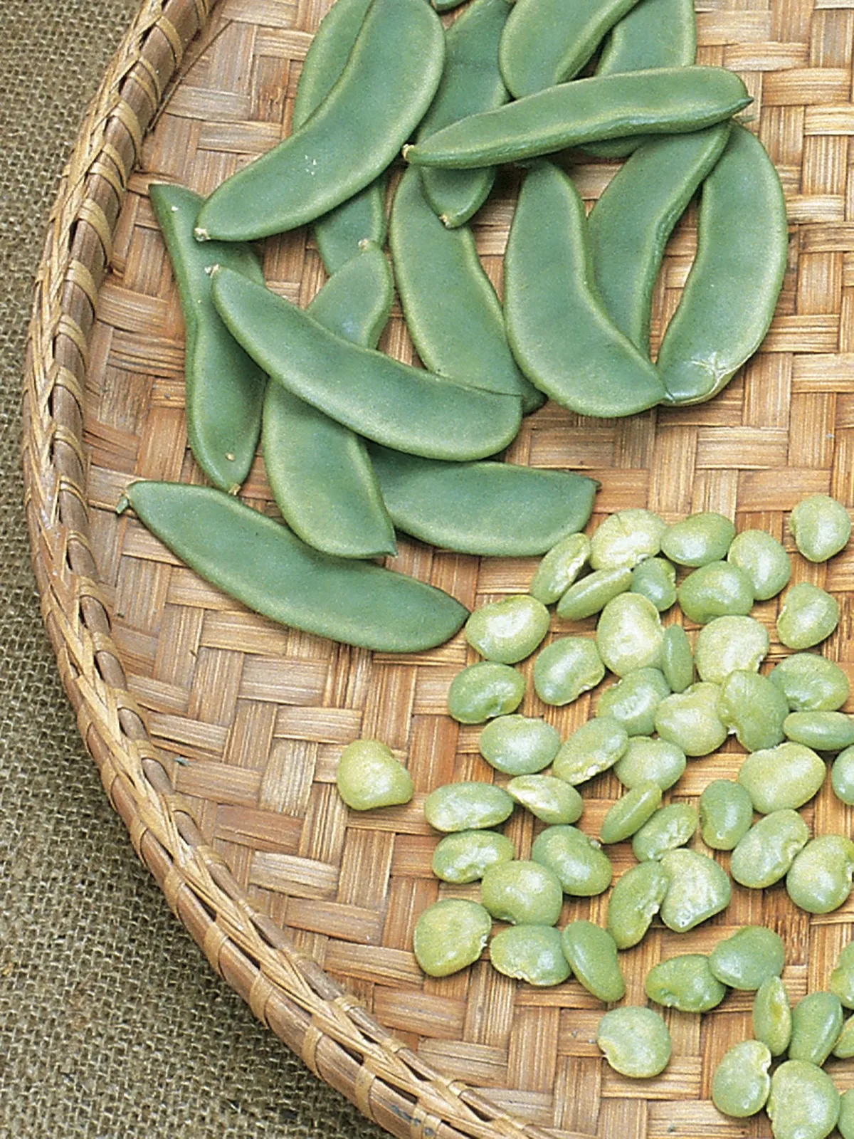 Lima  Burpees Bush Beans