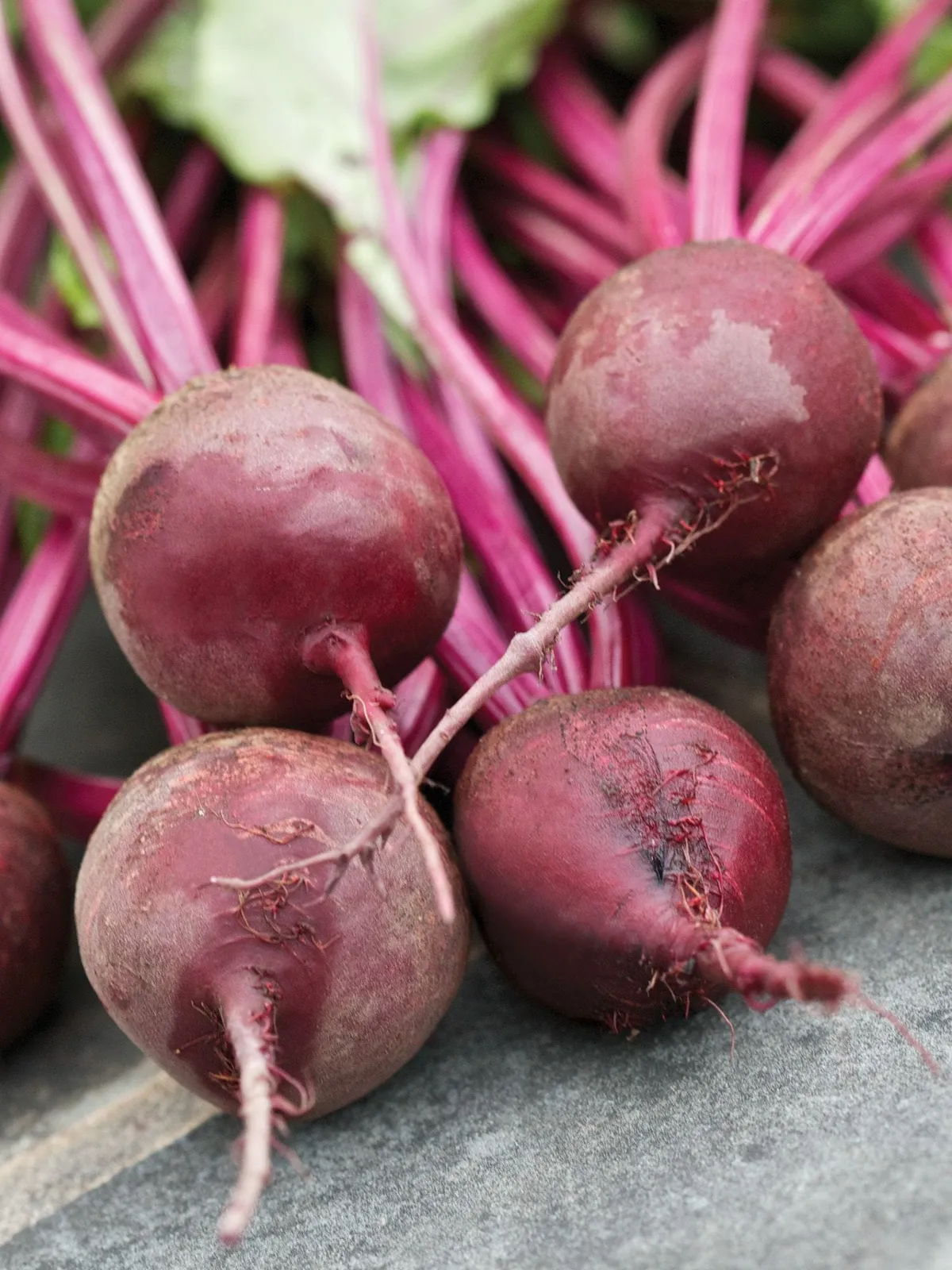 Detroits Best Hybrid Beets