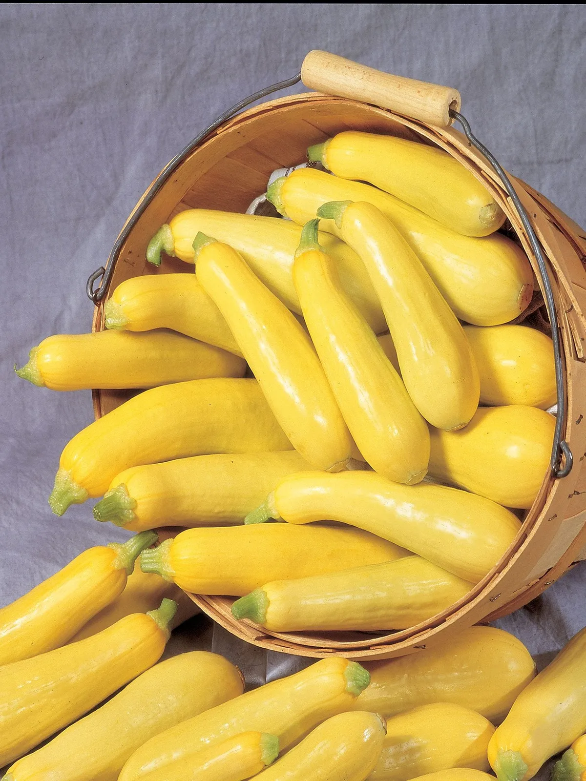 Summer, Saffron Squash