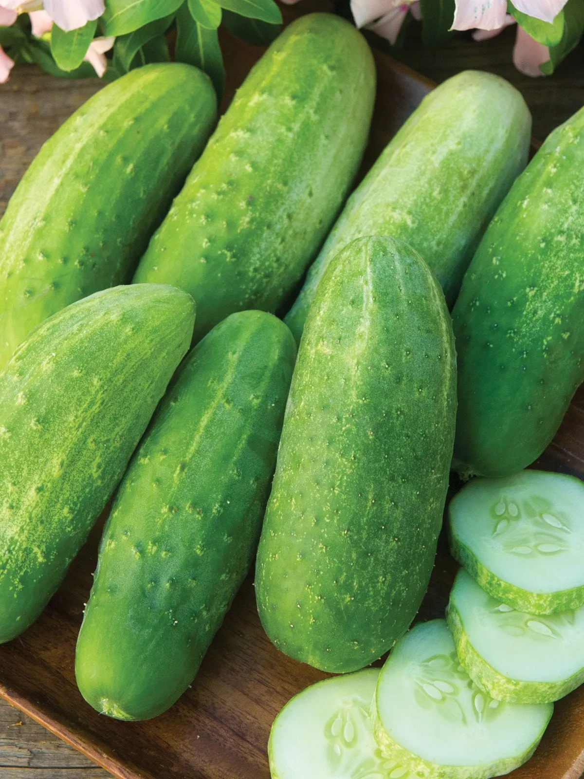 Burpee Pickler Cucumbers