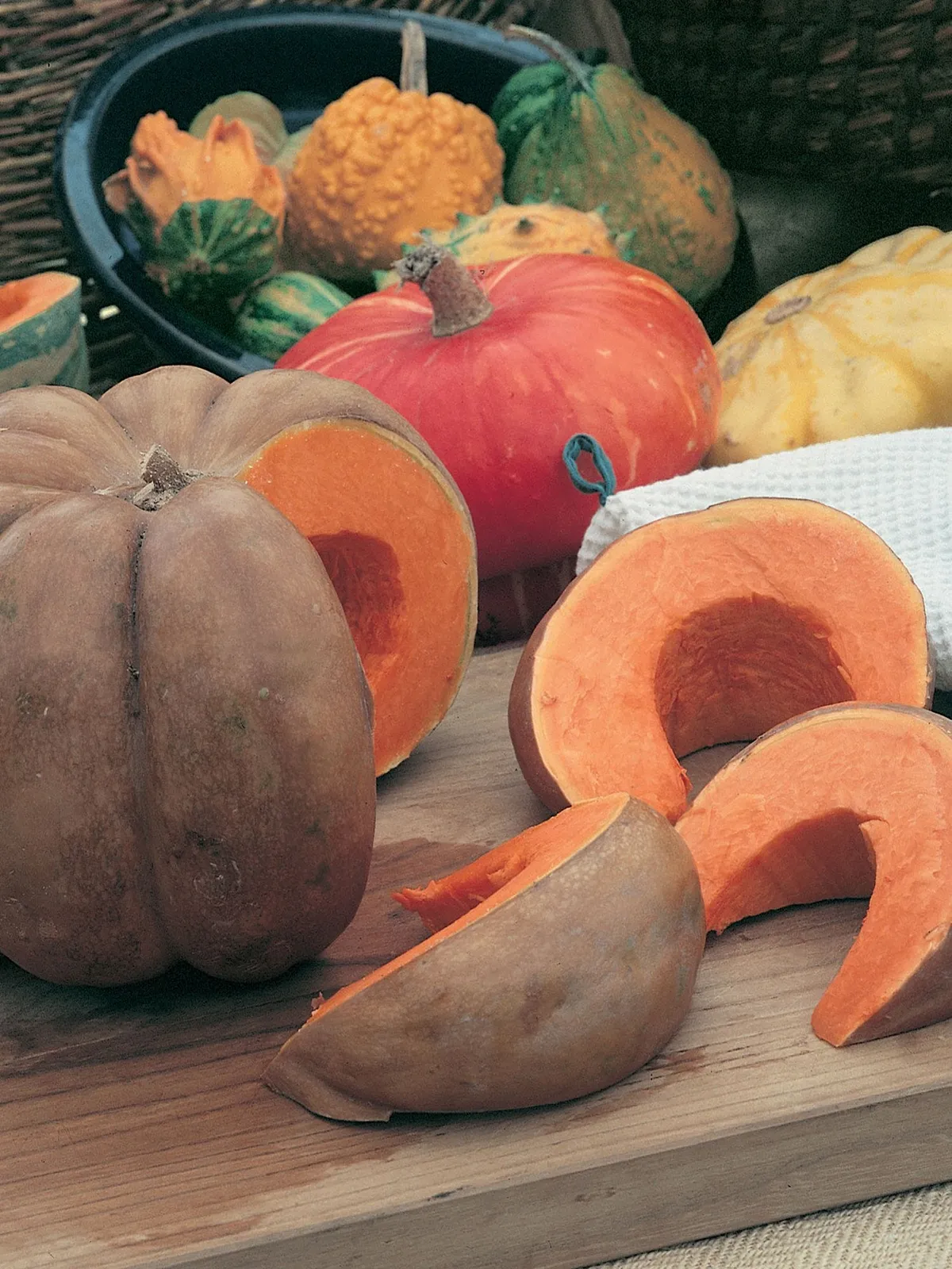 Musquee de Provence Pumpkin