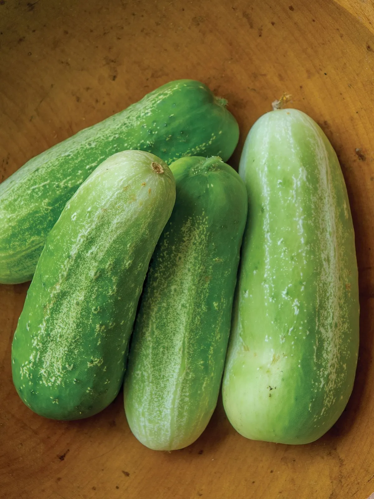 Picklebush Cucumbers