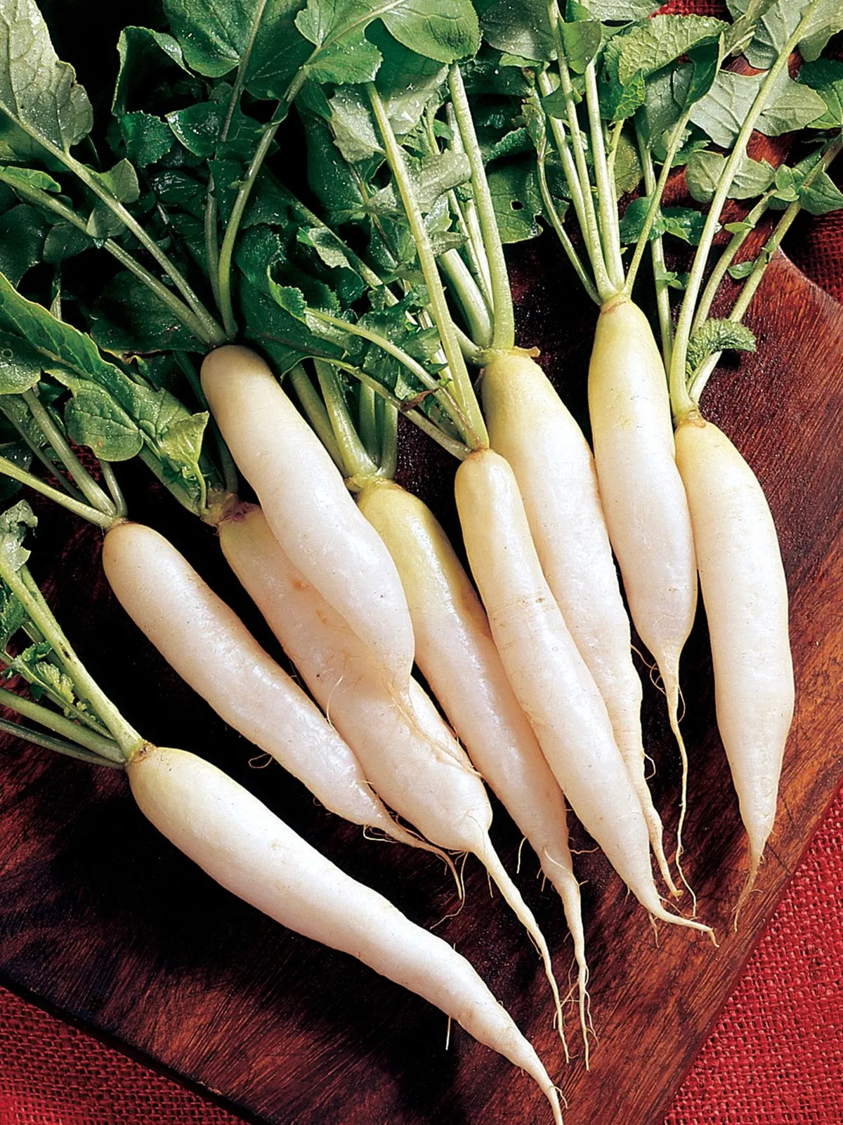 White Icicle Radishes