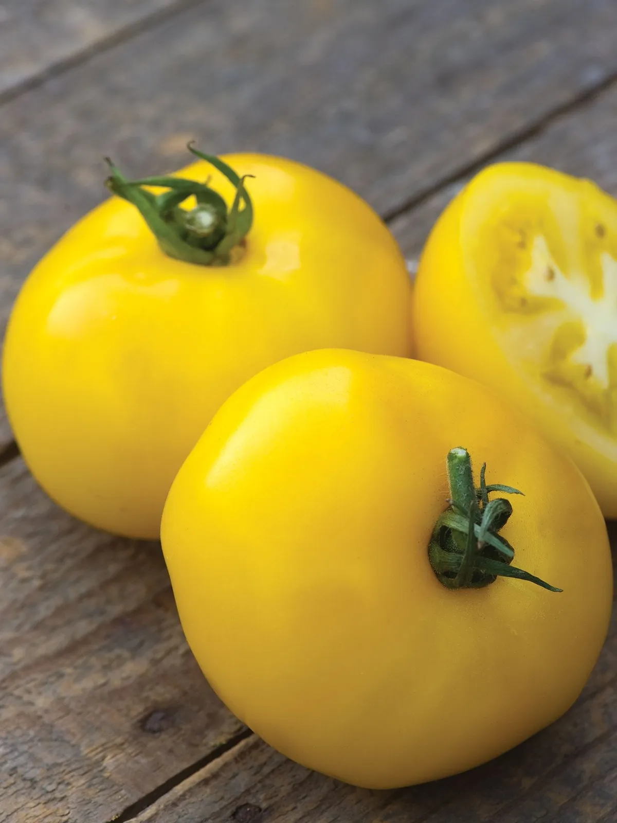 Sunny Boy Hybrid Tomatoes