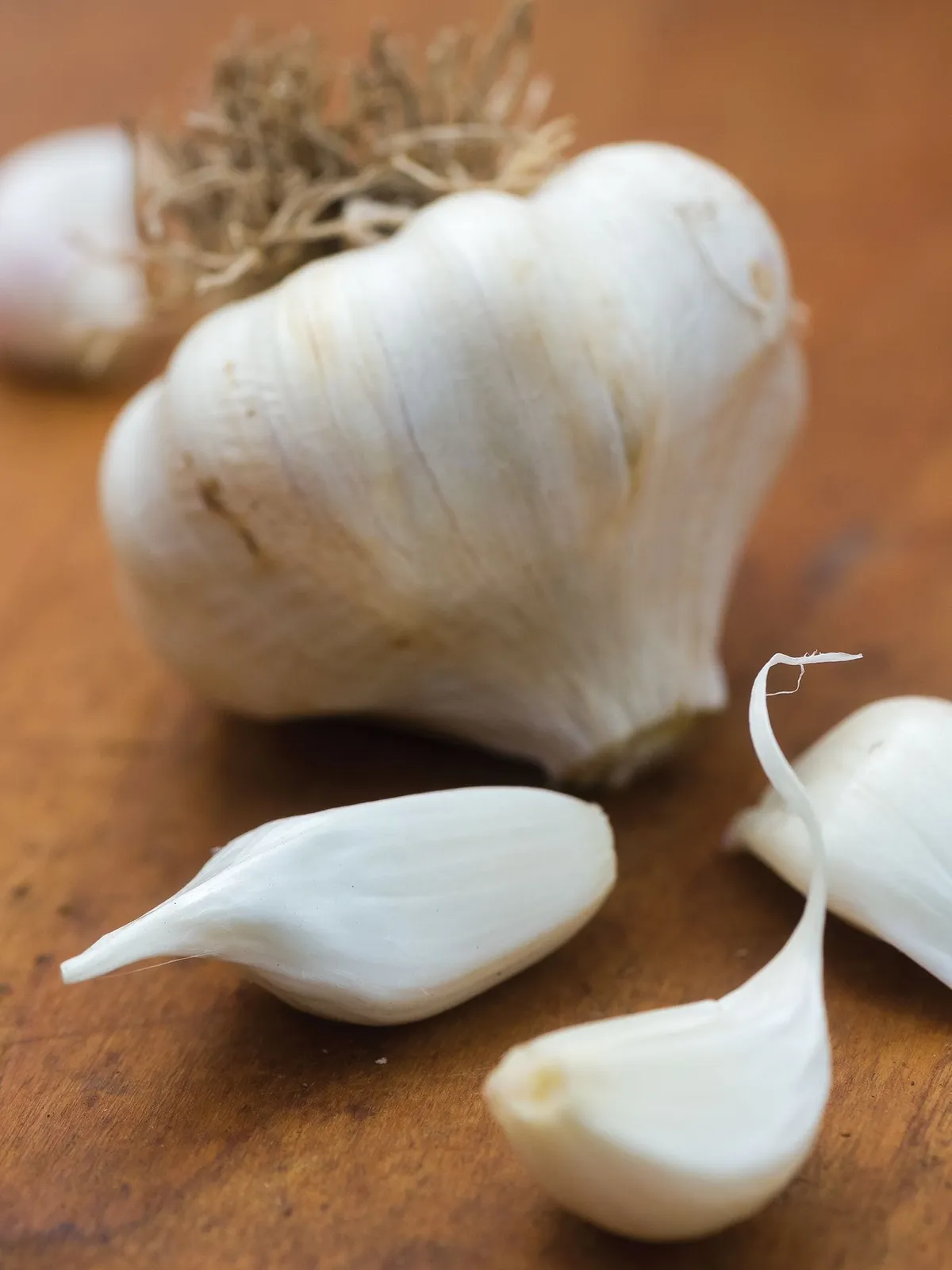 Early Italian Garlic