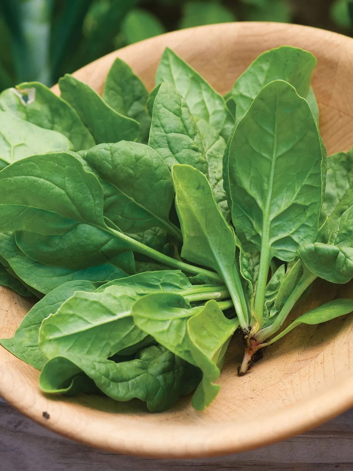 Space Hybrid Spinach