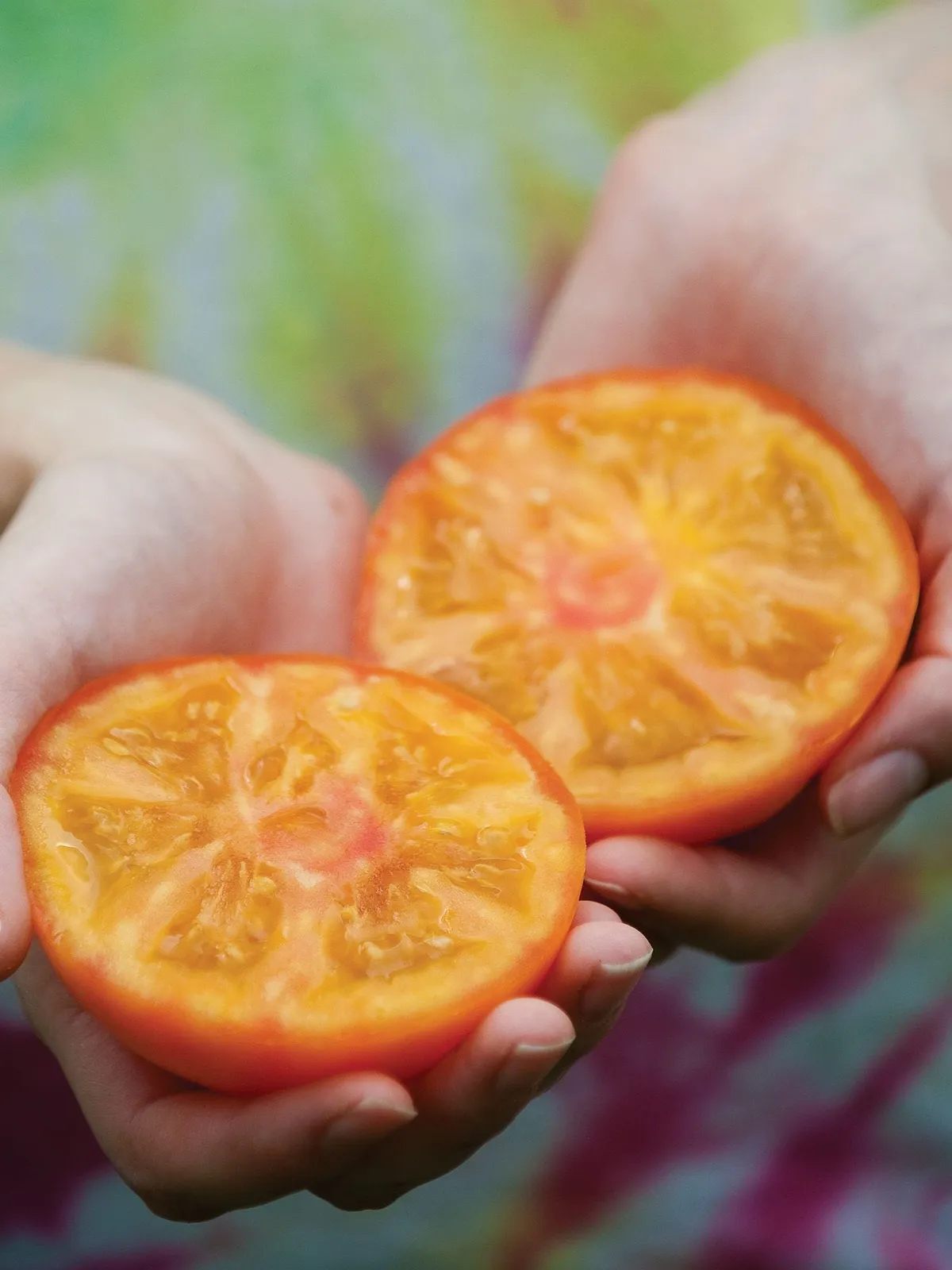 Tye-Dye Hybrid Tomatoes
