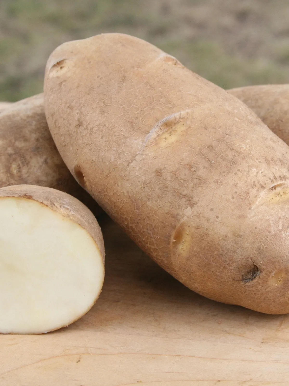Russet Norkotah Potatoes
