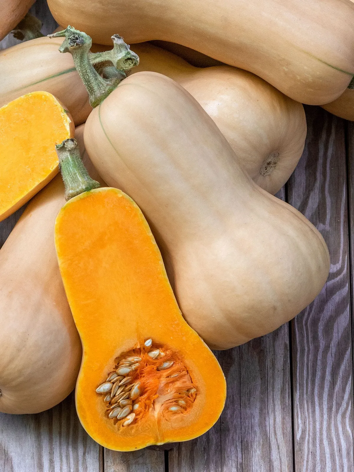 Winter, Waltham Butternut Squash