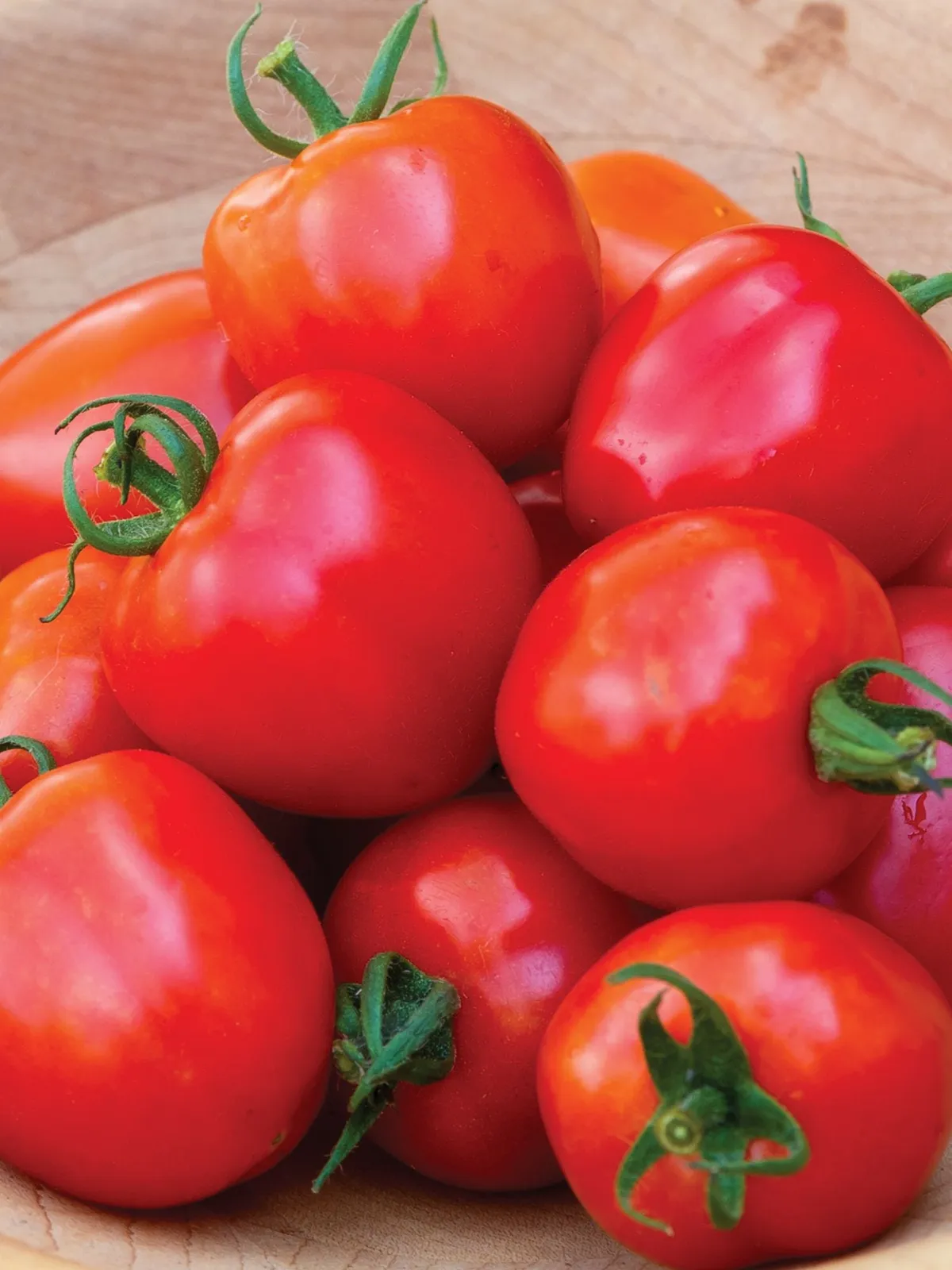 Tomatoberry Garden Hybrid Tomatoes