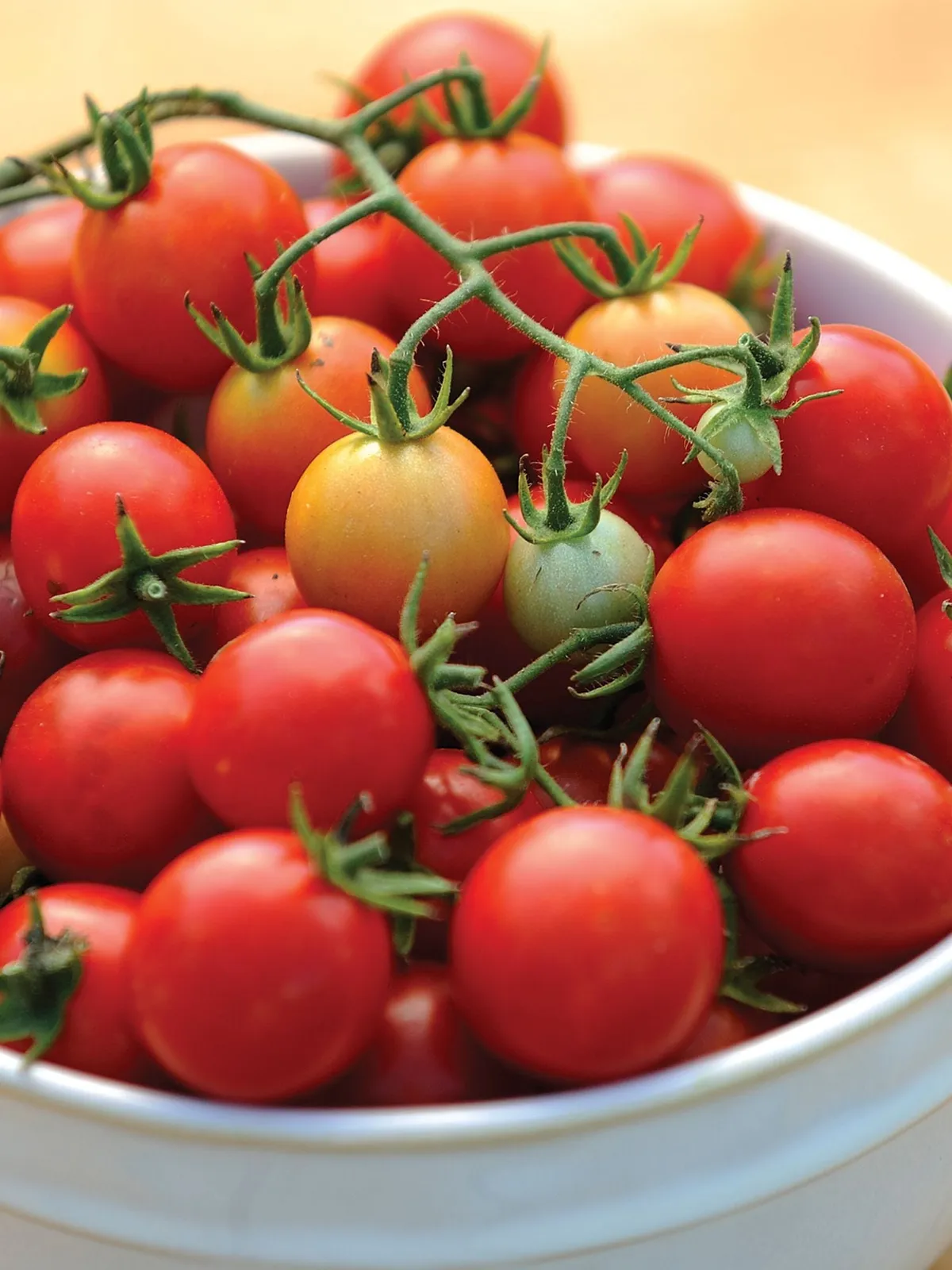 Power Pops Hybrid Tomatoes