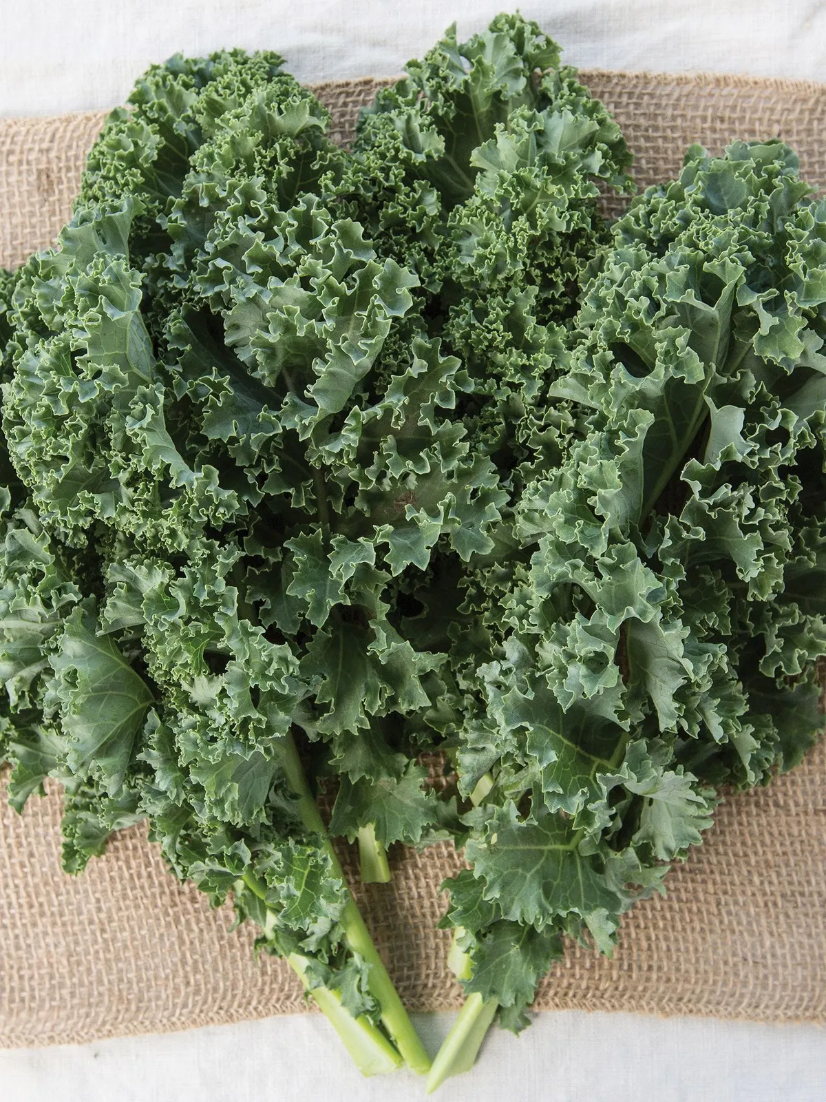 Prizm Hybrid Kale