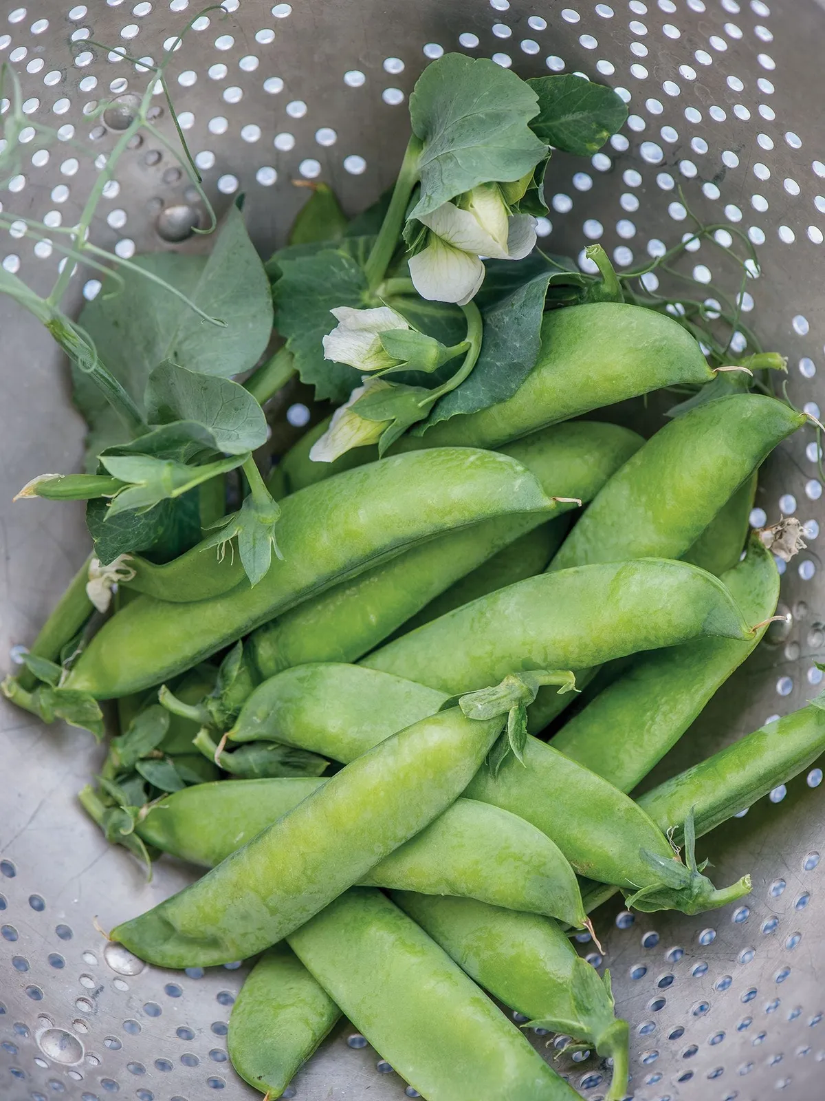 Peagoda Peas