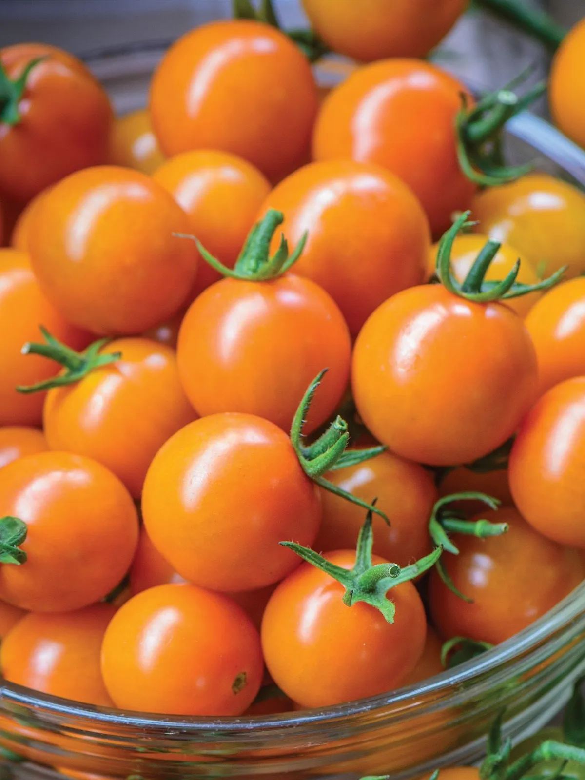 Honeycomb Hybrid Tomatoes