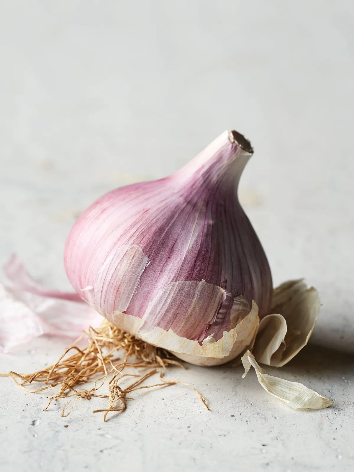 Chesnok Red Garlic