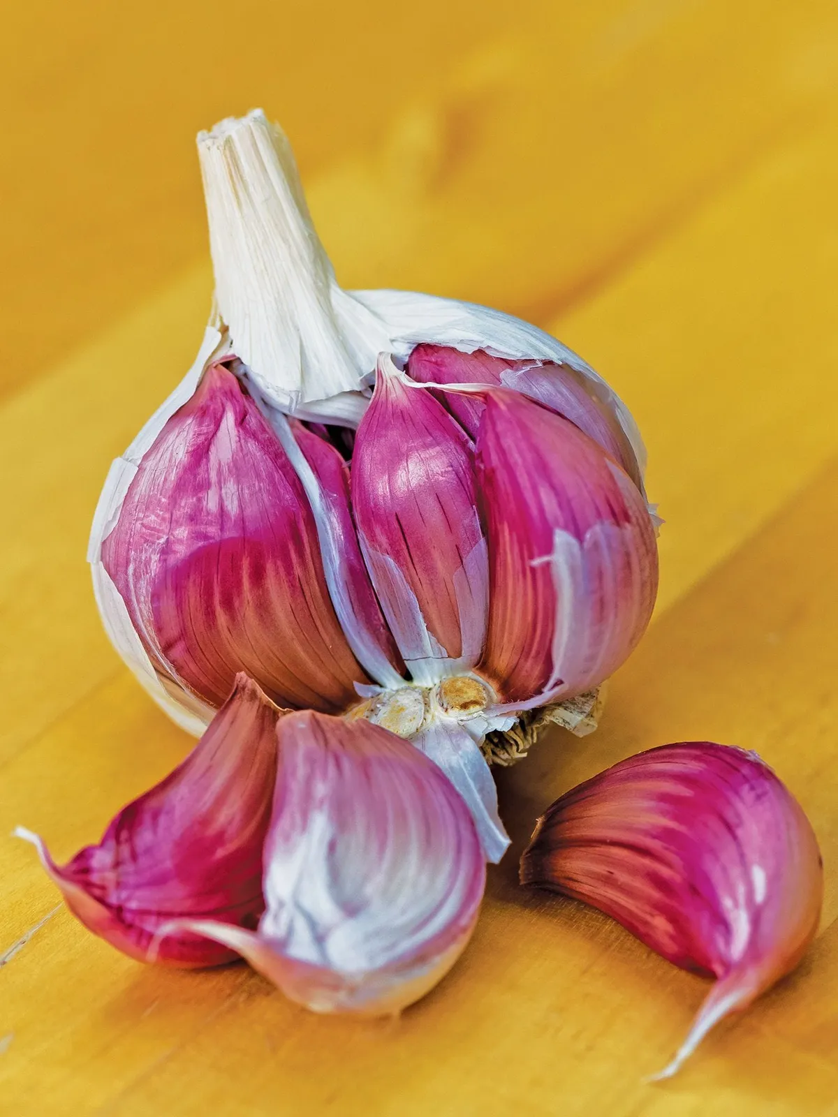 Ajo Rojo Garlic