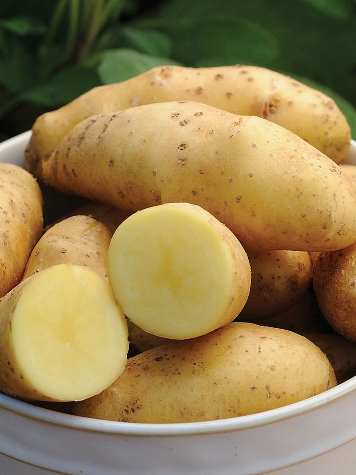 Princess Laratte Potatoes