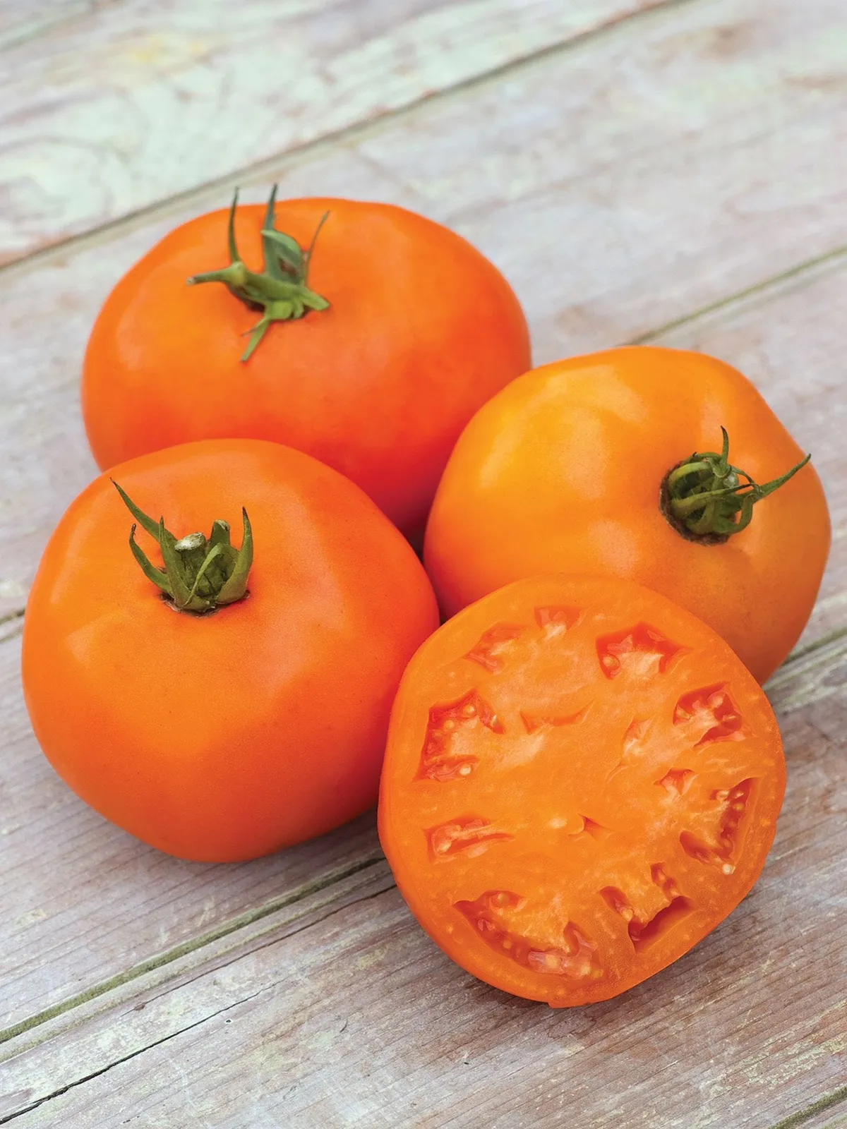 Orange Slice Hybrid Tomatoes