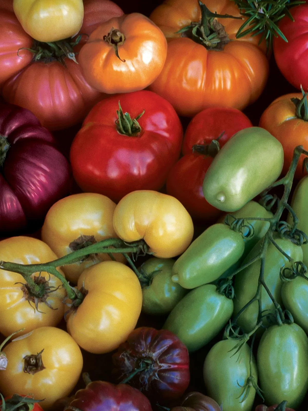 Rainbow Blend Heirloom Tomatoes