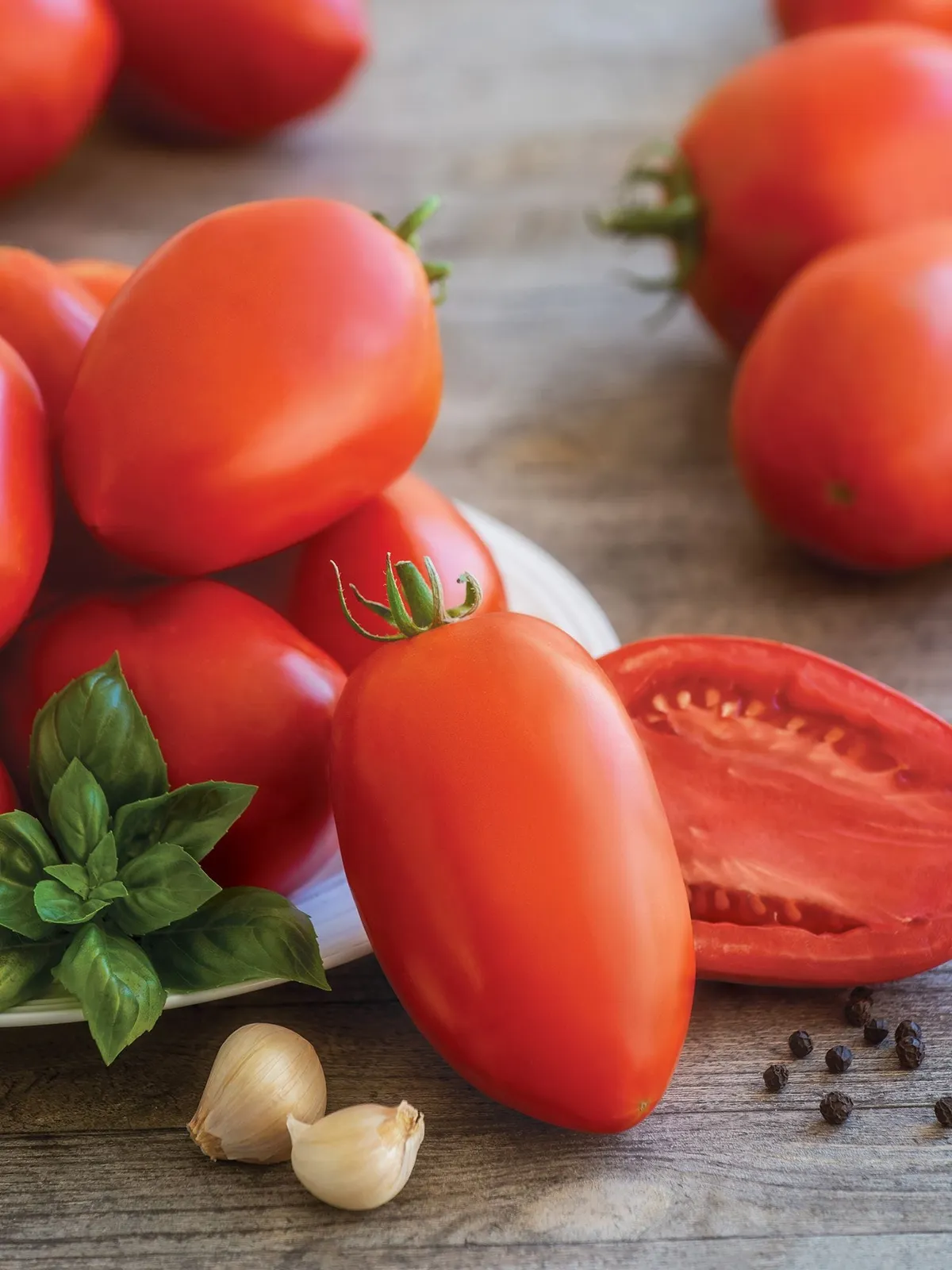 Gladiator Hybrid Tomatoes