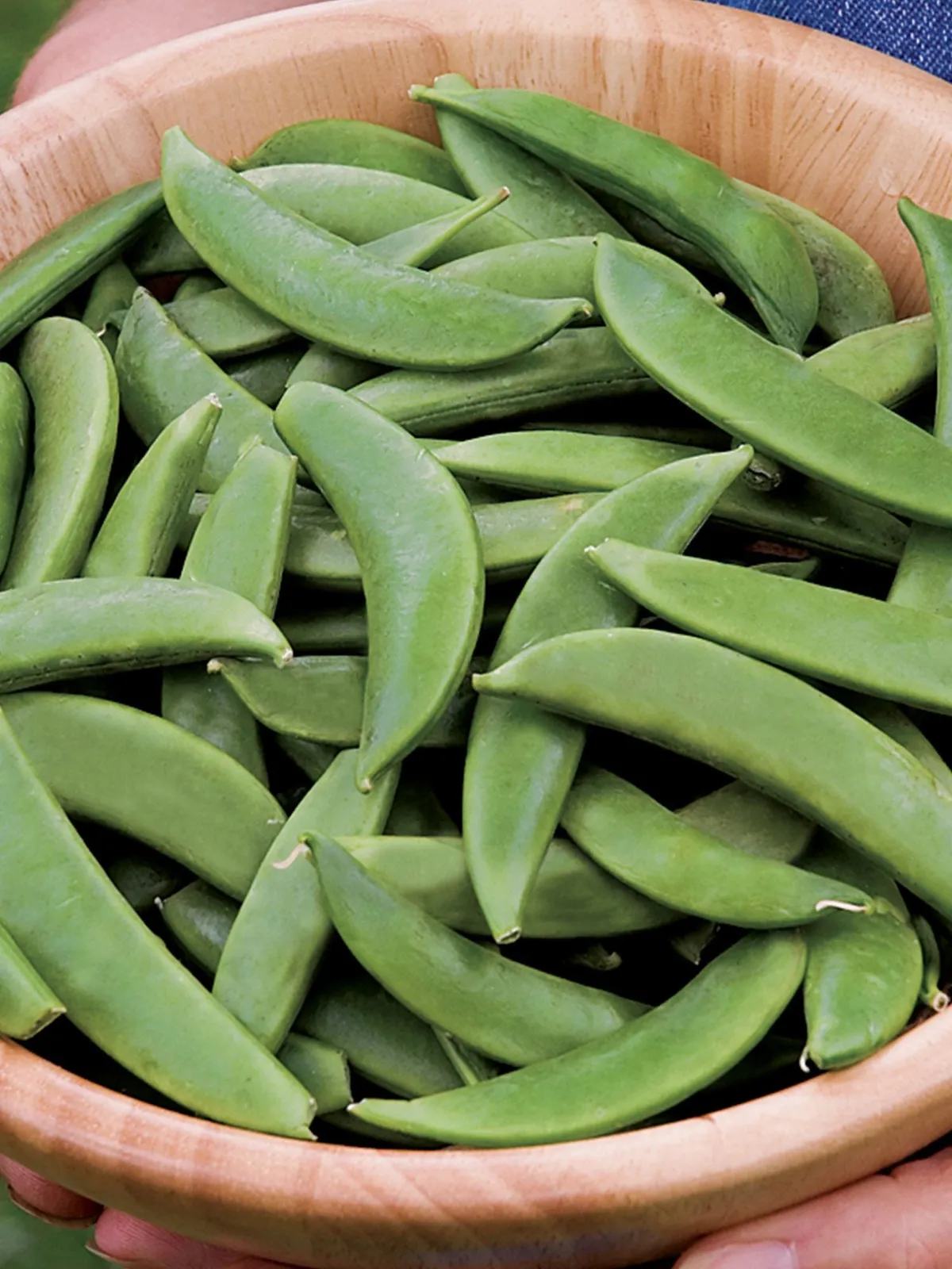 Sugar Bon Peas