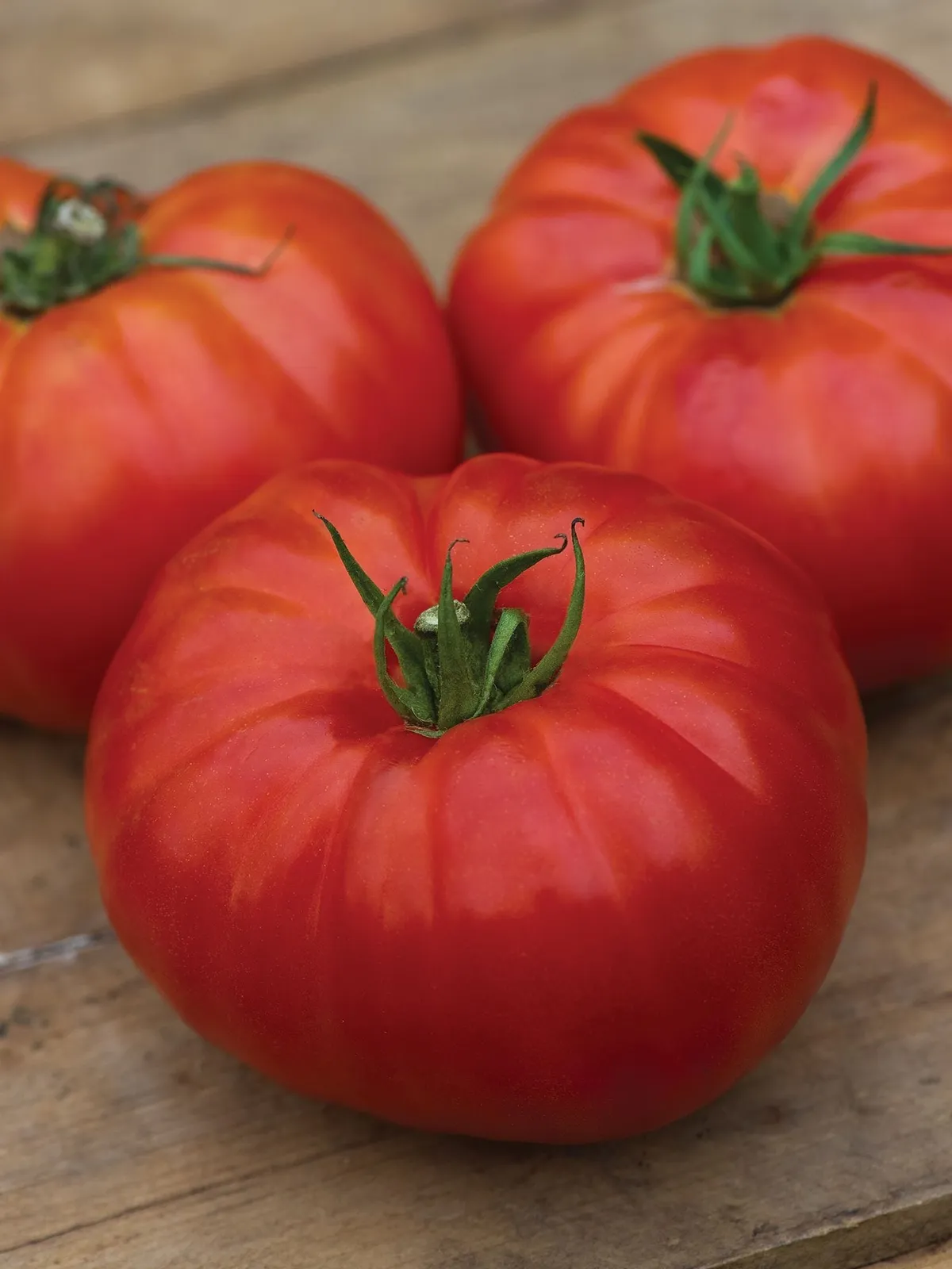 Heritage Hybrid Tomatoes