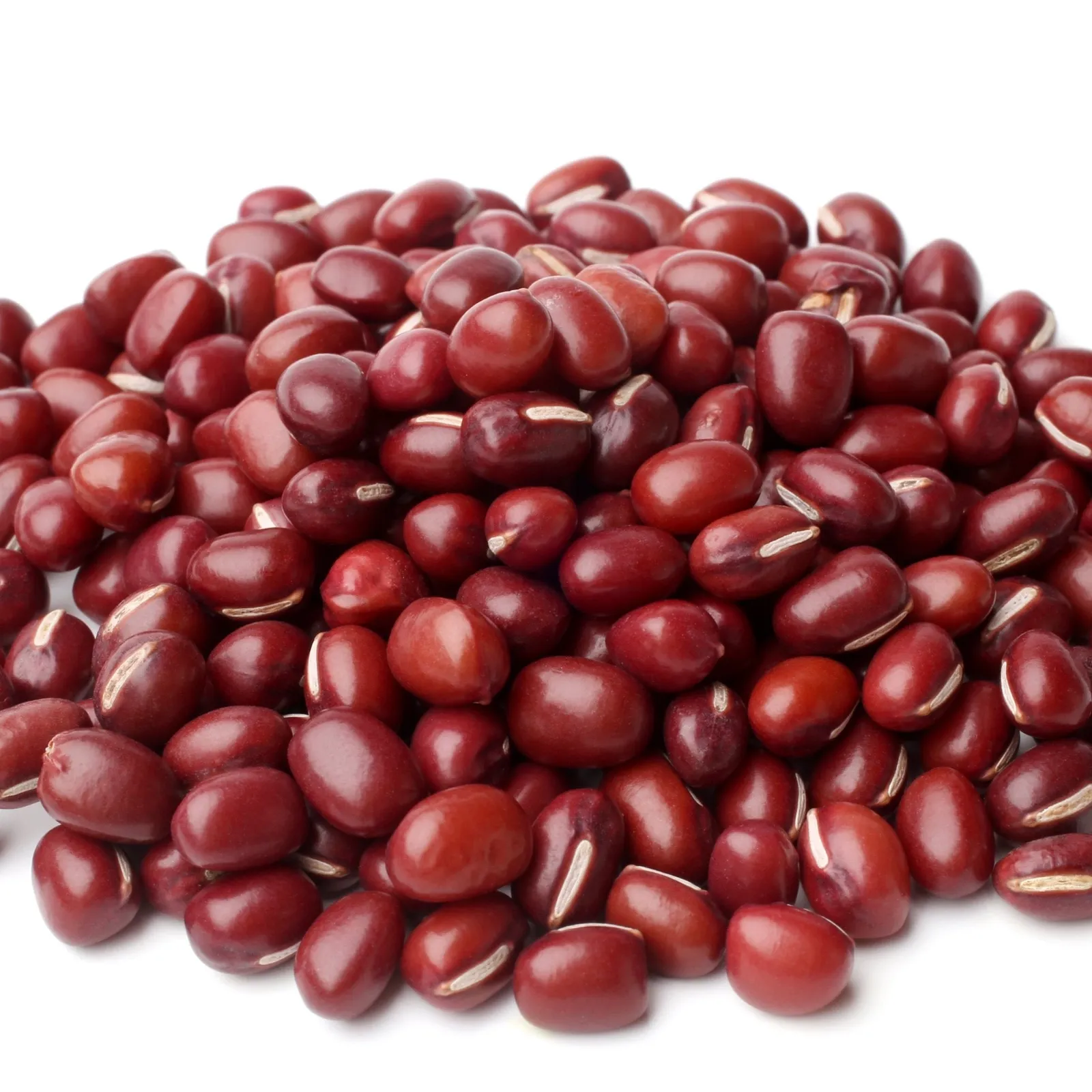 Adzuki (Bush) Beans