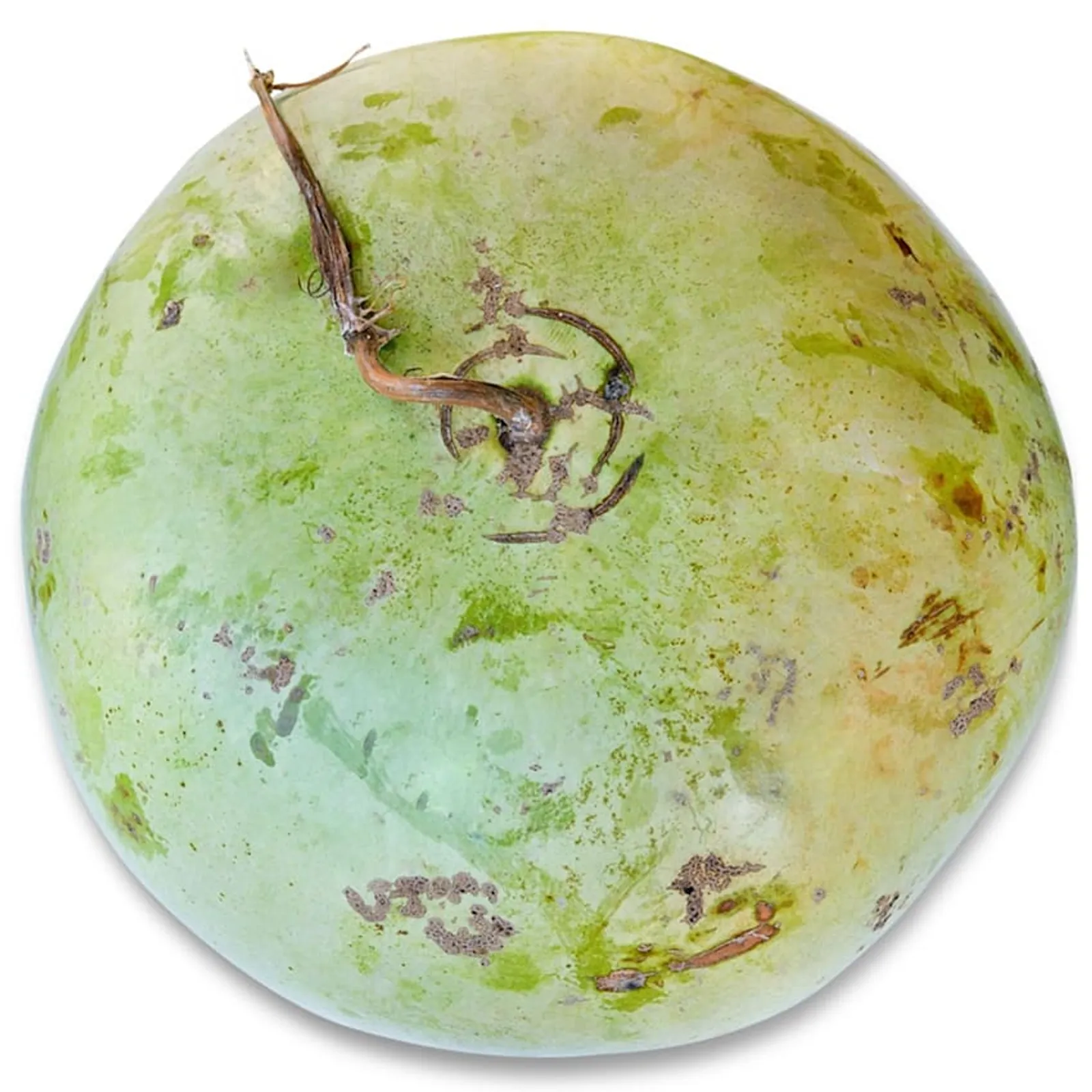 African Drum Gourds