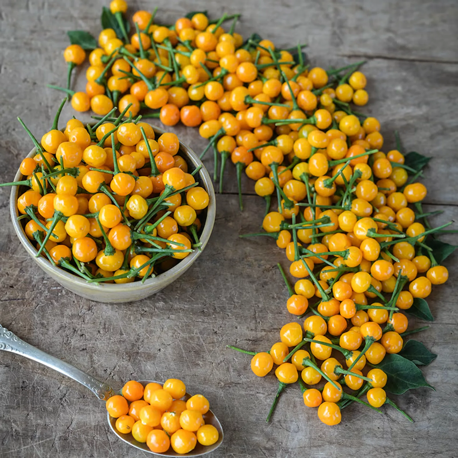 Aji Charapita Peppers
