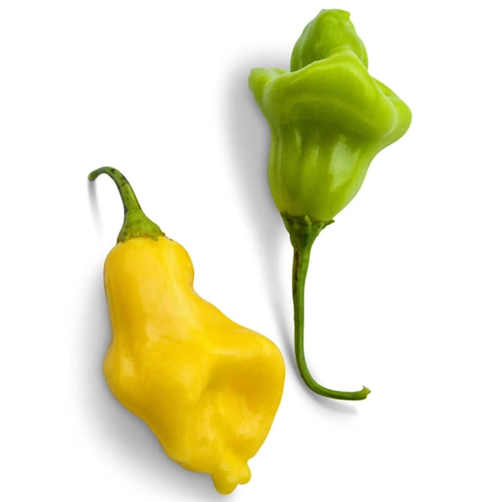 Aji Fantasy Peppers
