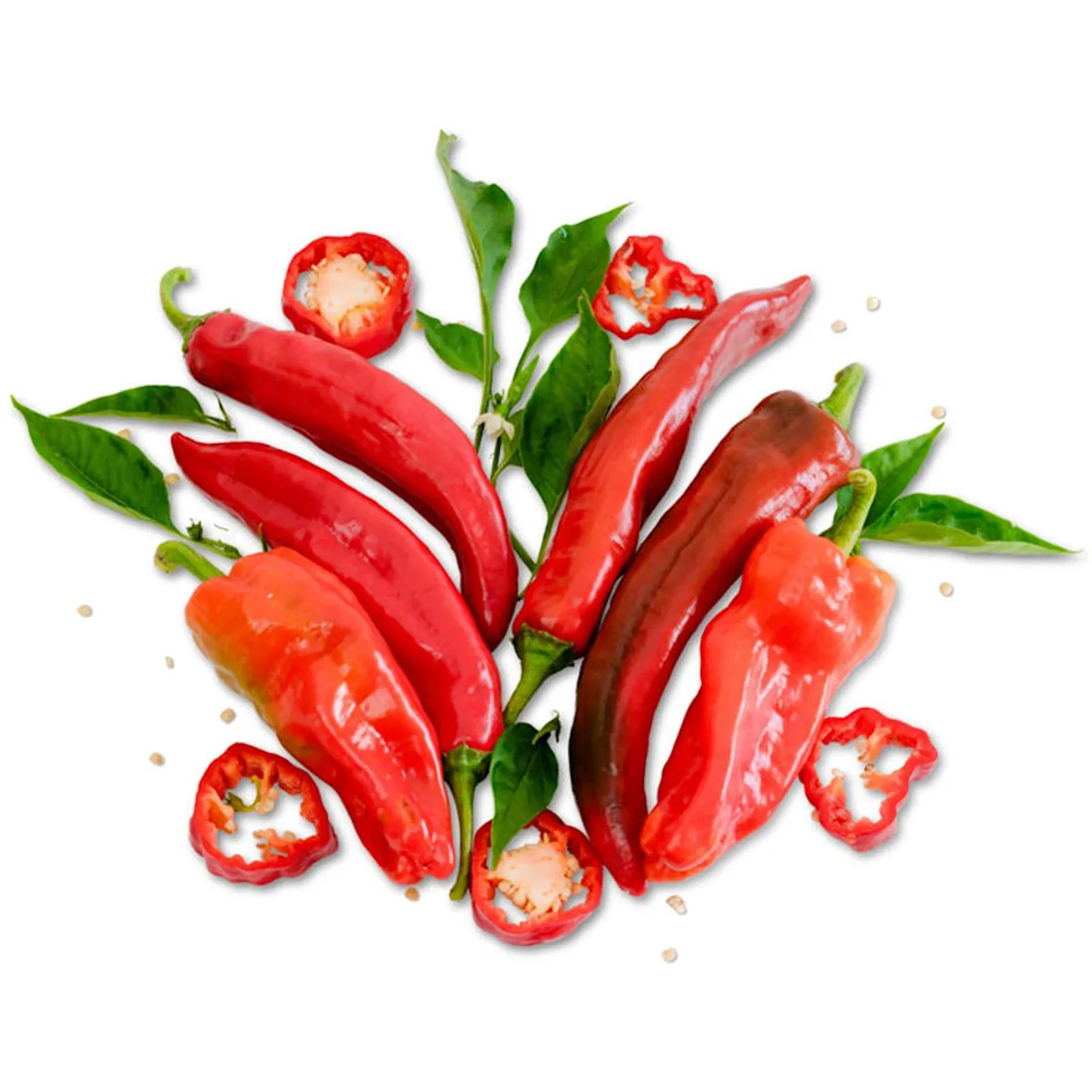 Aleppo Peppers