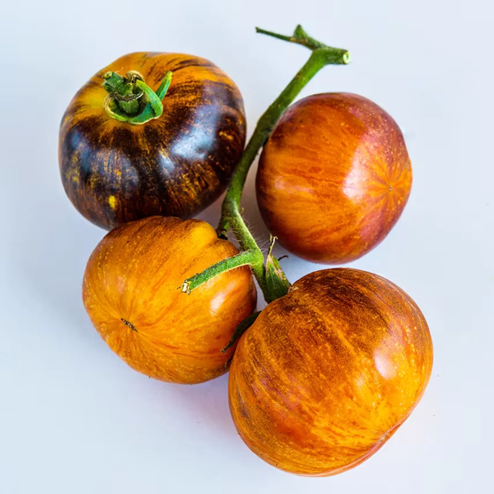 Alice's Dream Tomatoes