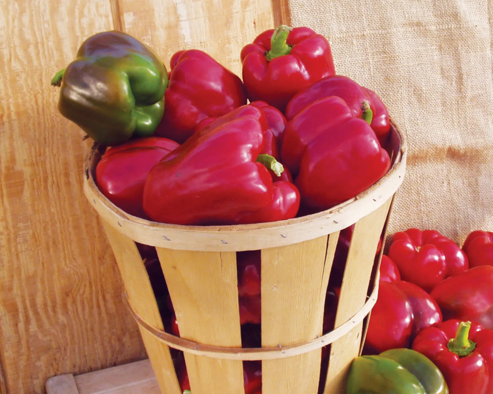 Alliance Hybrid Bell Peppers