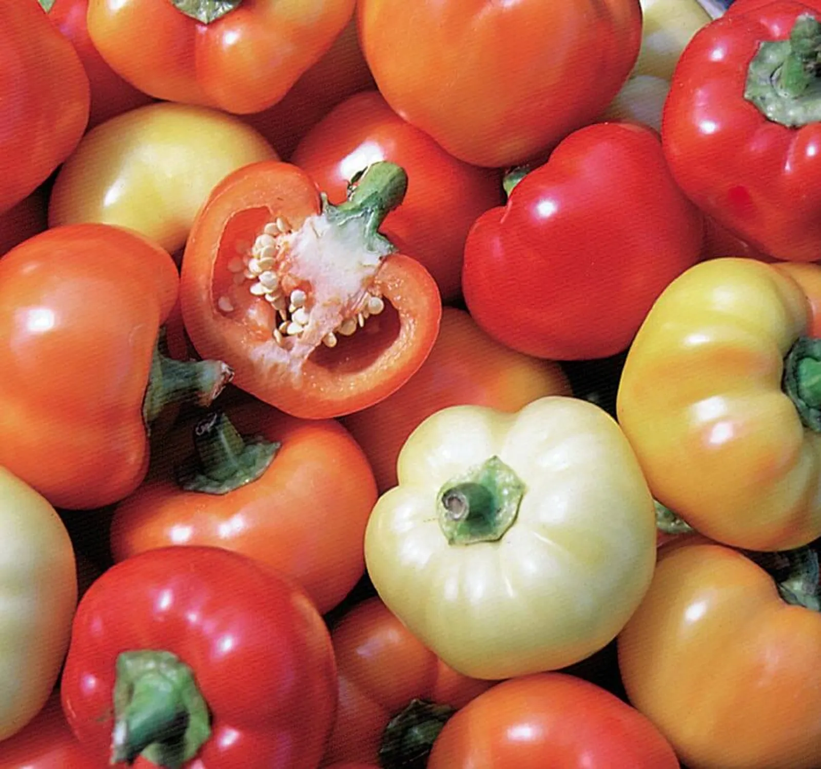 Alma Paprika Peppers