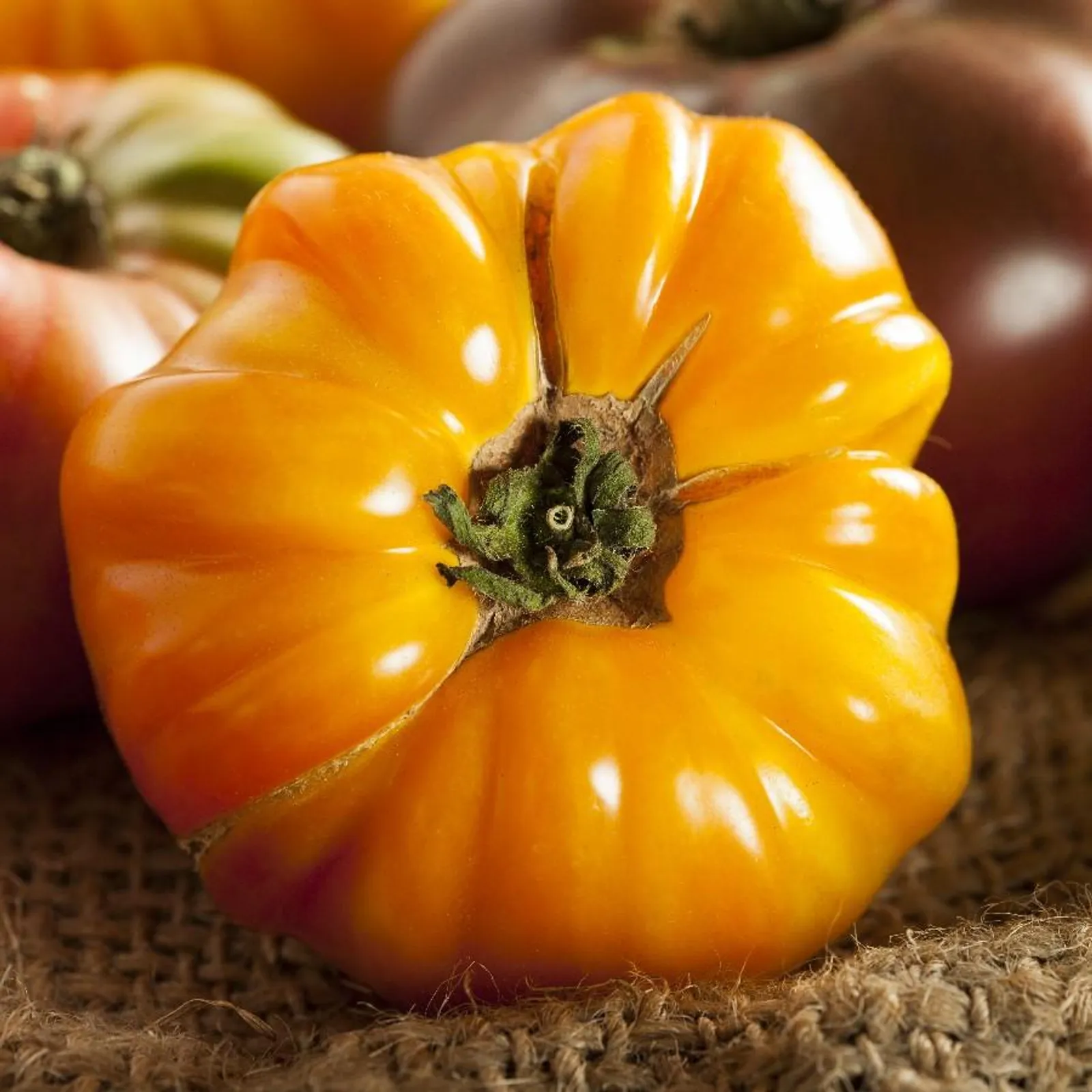 Amana Orange Tomatoes