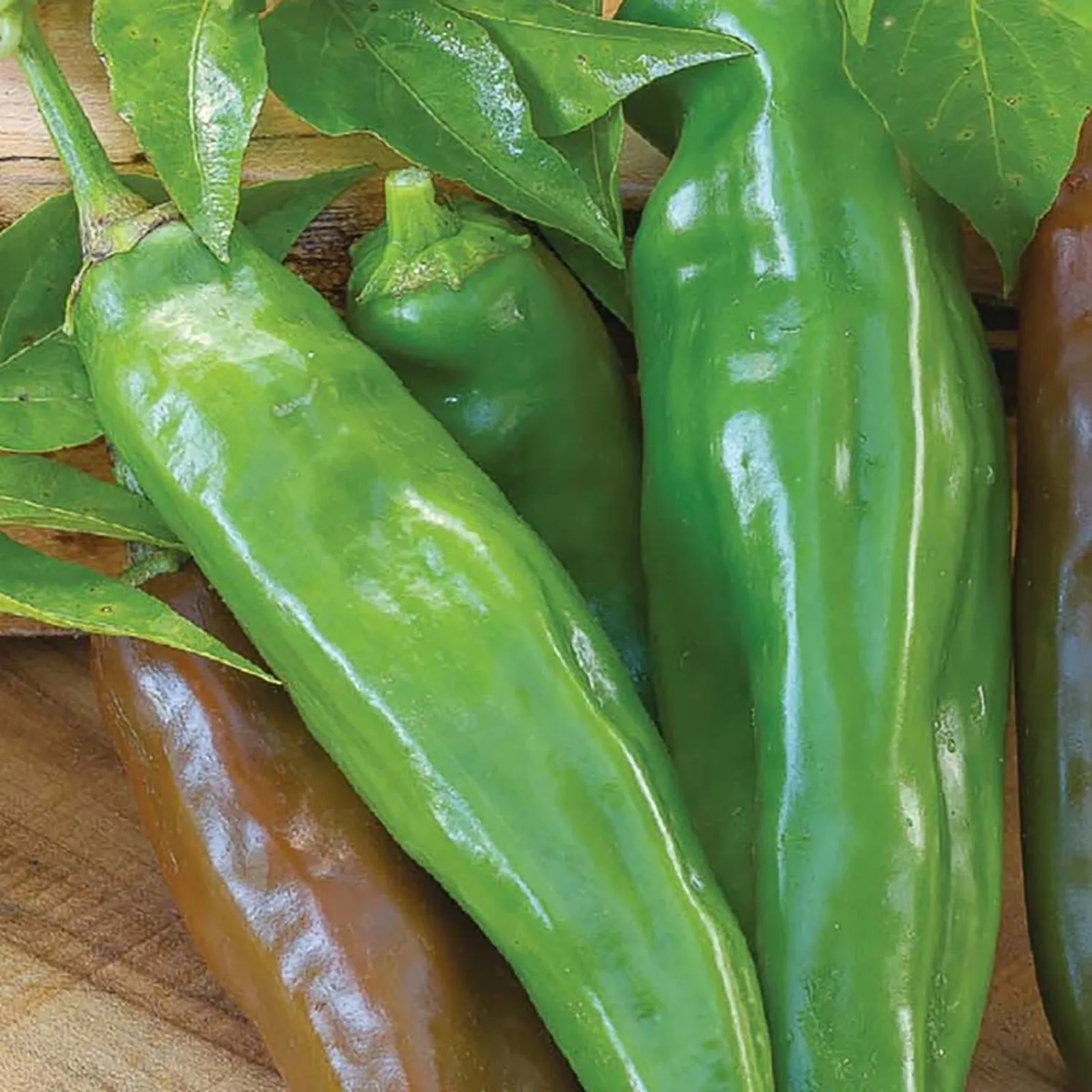 Anaheim Chili Peppers
