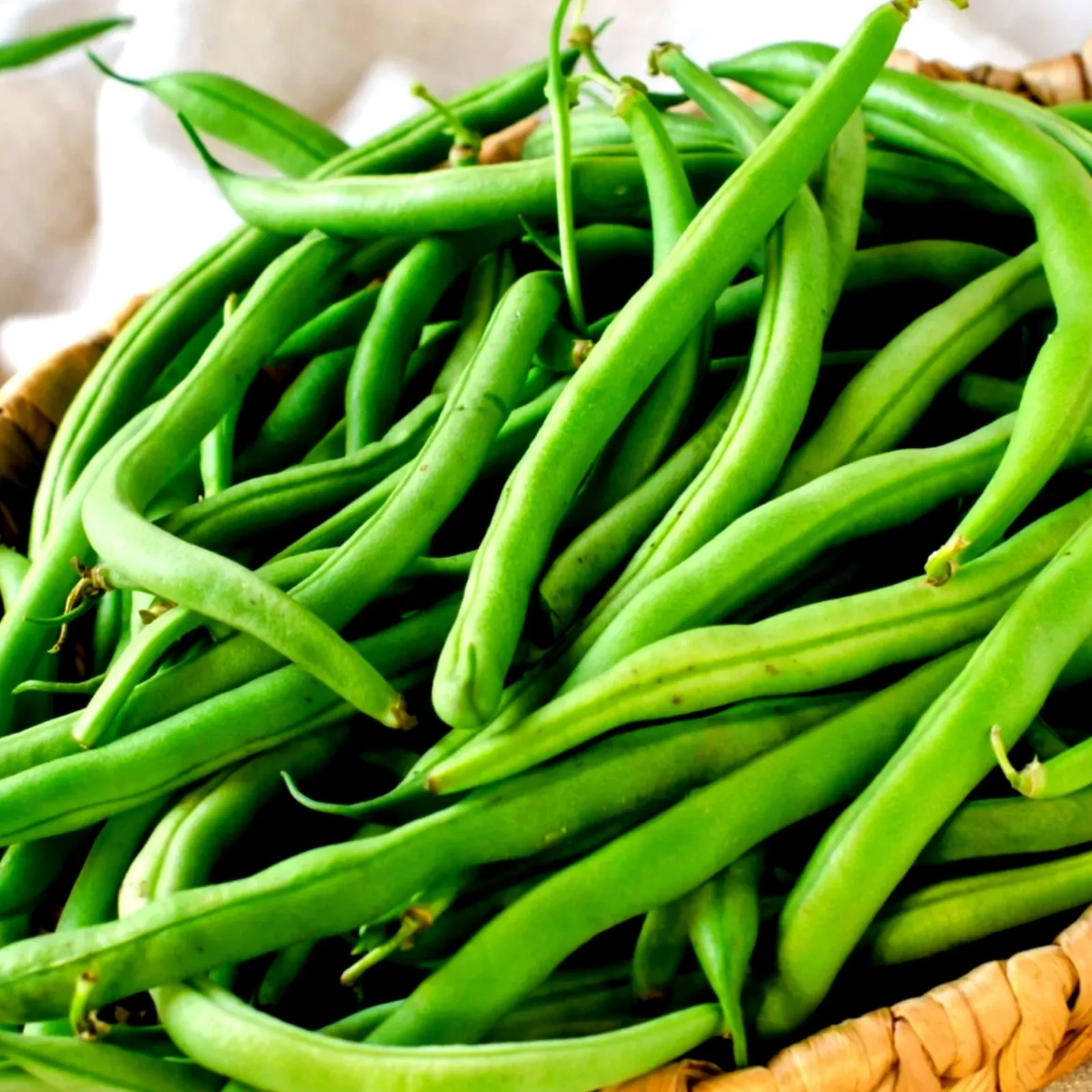 Antigua Beans